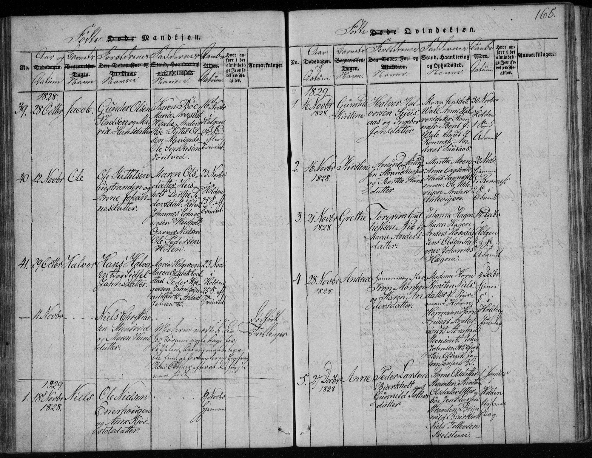 Holla kirkebøker, AV/SAKO-A-272/F/Fa/L0003: Parish register (official) no. 3, 1815-1830, p. 165