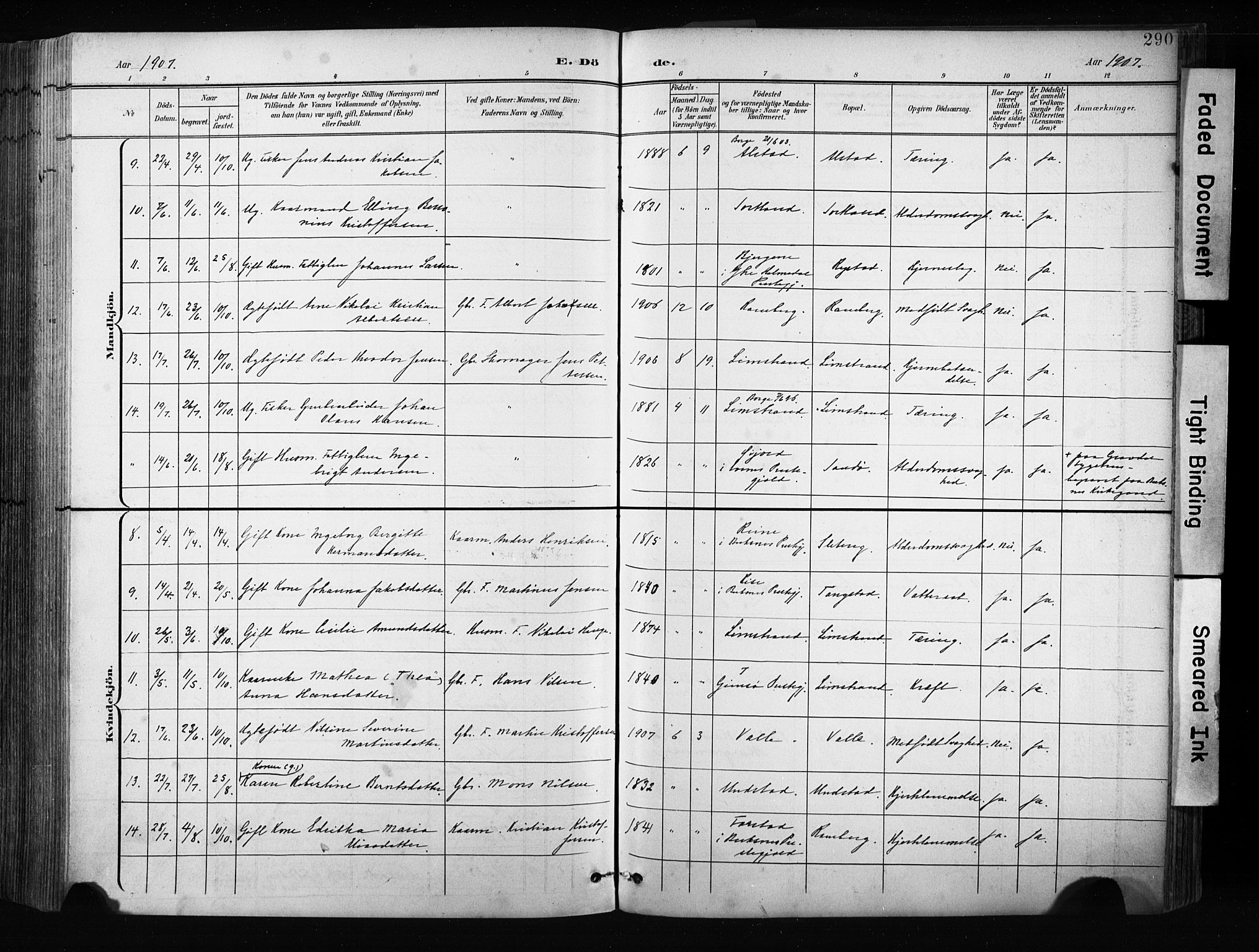 Ministerialprotokoller, klokkerbøker og fødselsregistre - Nordland, SAT/A-1459/880/L1134: Parish register (official) no. 880A08, 1899-1908, p. 290