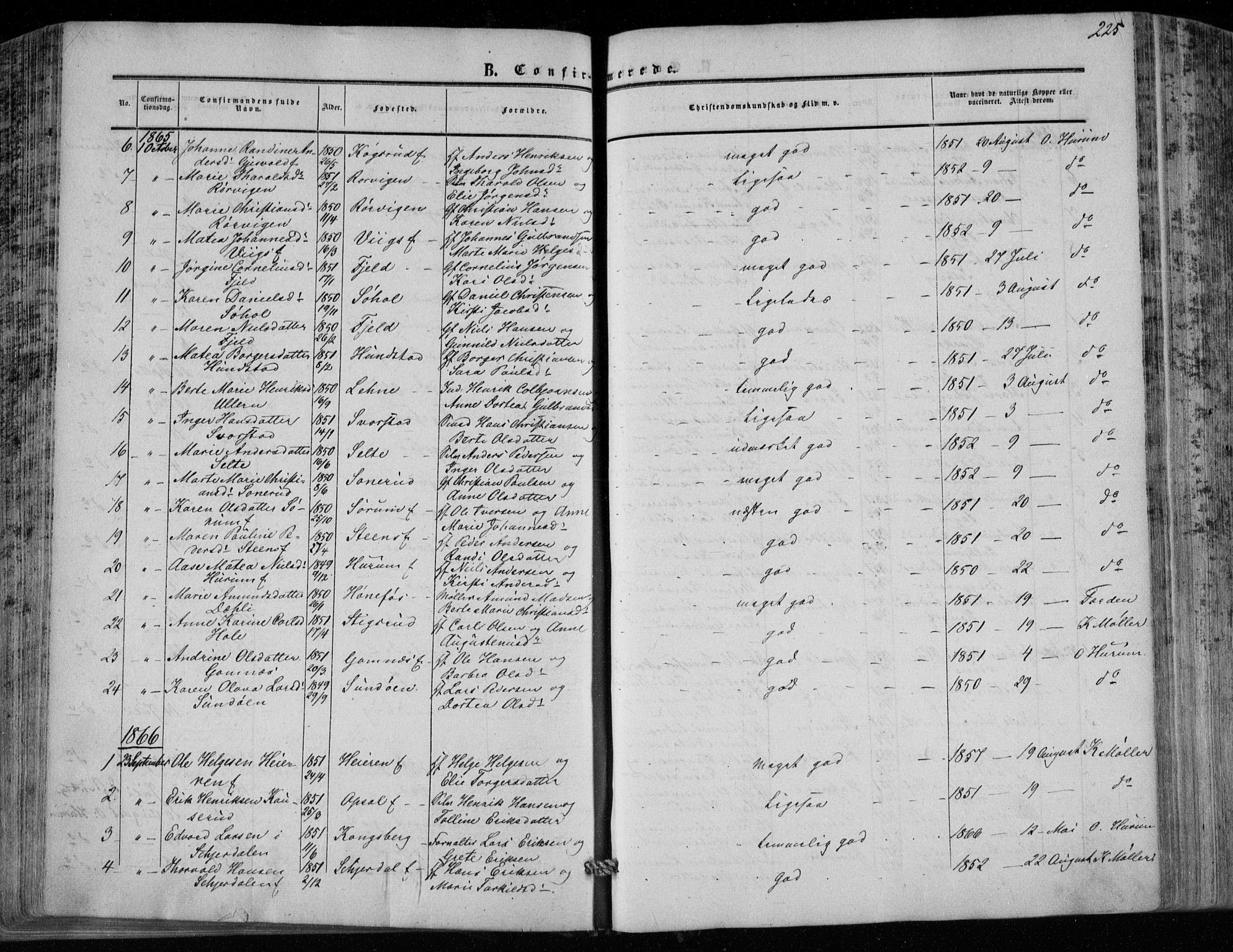 Hole kirkebøker, SAKO/A-228/F/Fa/L0006: Parish register (official) no. I 6, 1852-1872, p. 225