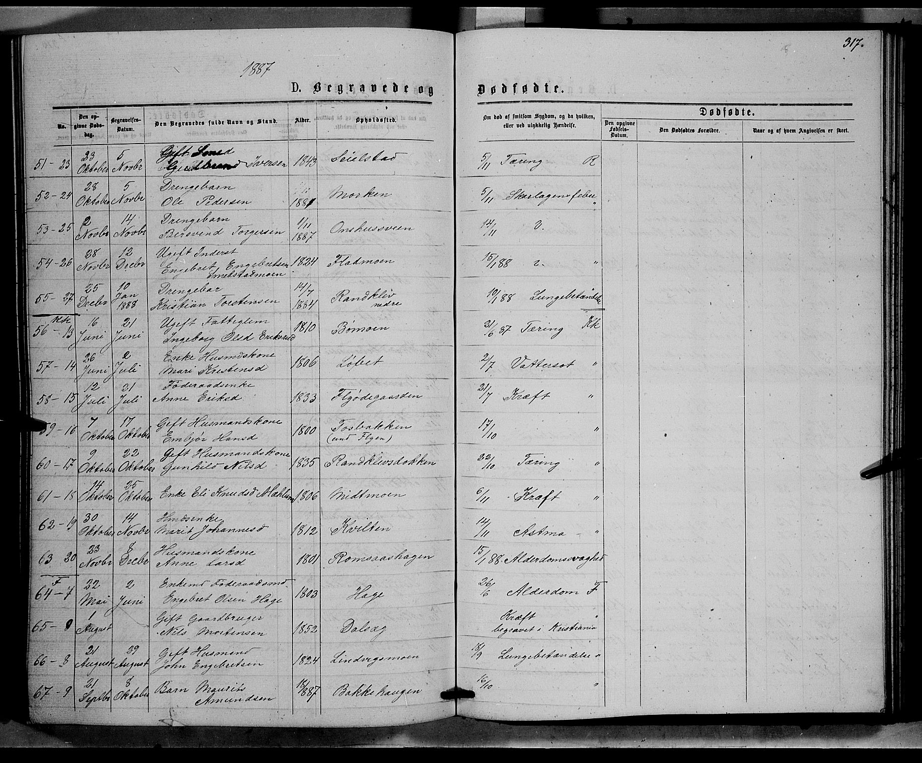 Ringebu prestekontor, SAH/PREST-082/H/Ha/Hab/L0006: Parish register (copy) no. 6, 1880-1898, p. 317