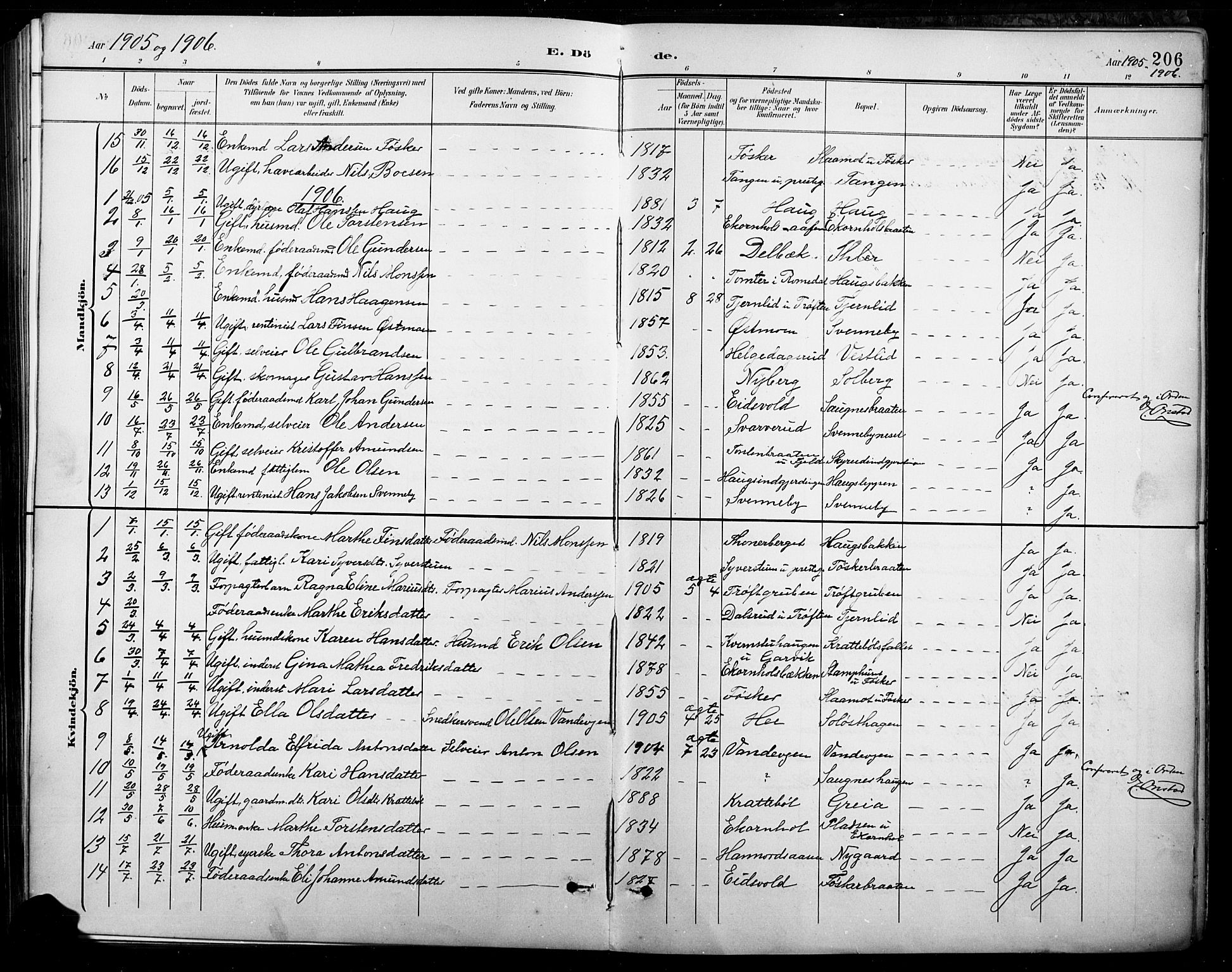 Nord-Odal prestekontor, AV/SAH-PREST-032/H/Ha/Hab/L0003: Parish register (copy) no. 3, 1895-1923, p. 206