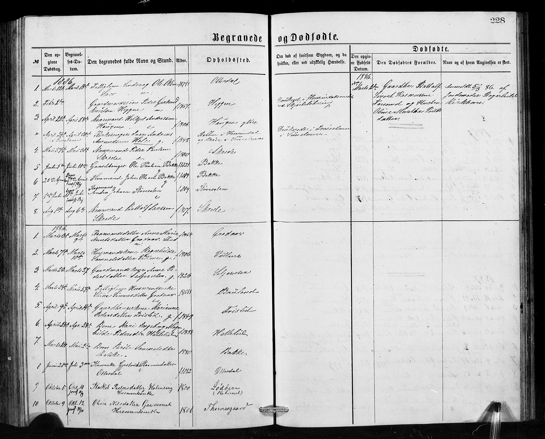 Hornindal sokneprestembete, SAB/A-82401/H/Hab: Parish register (copy) no. A 1, 1876-1894, p. 228