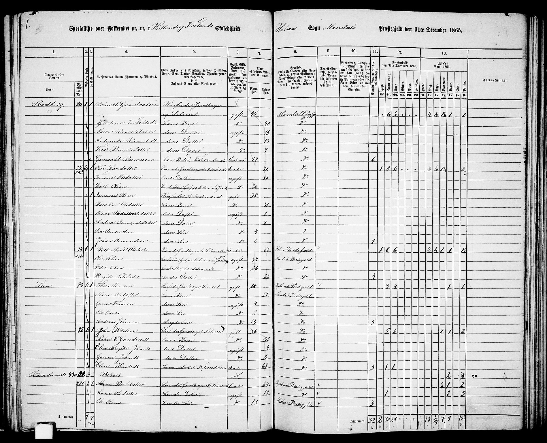 RA, 1865 census for Mandal/Halse og Harkmark, 1865, p. 63