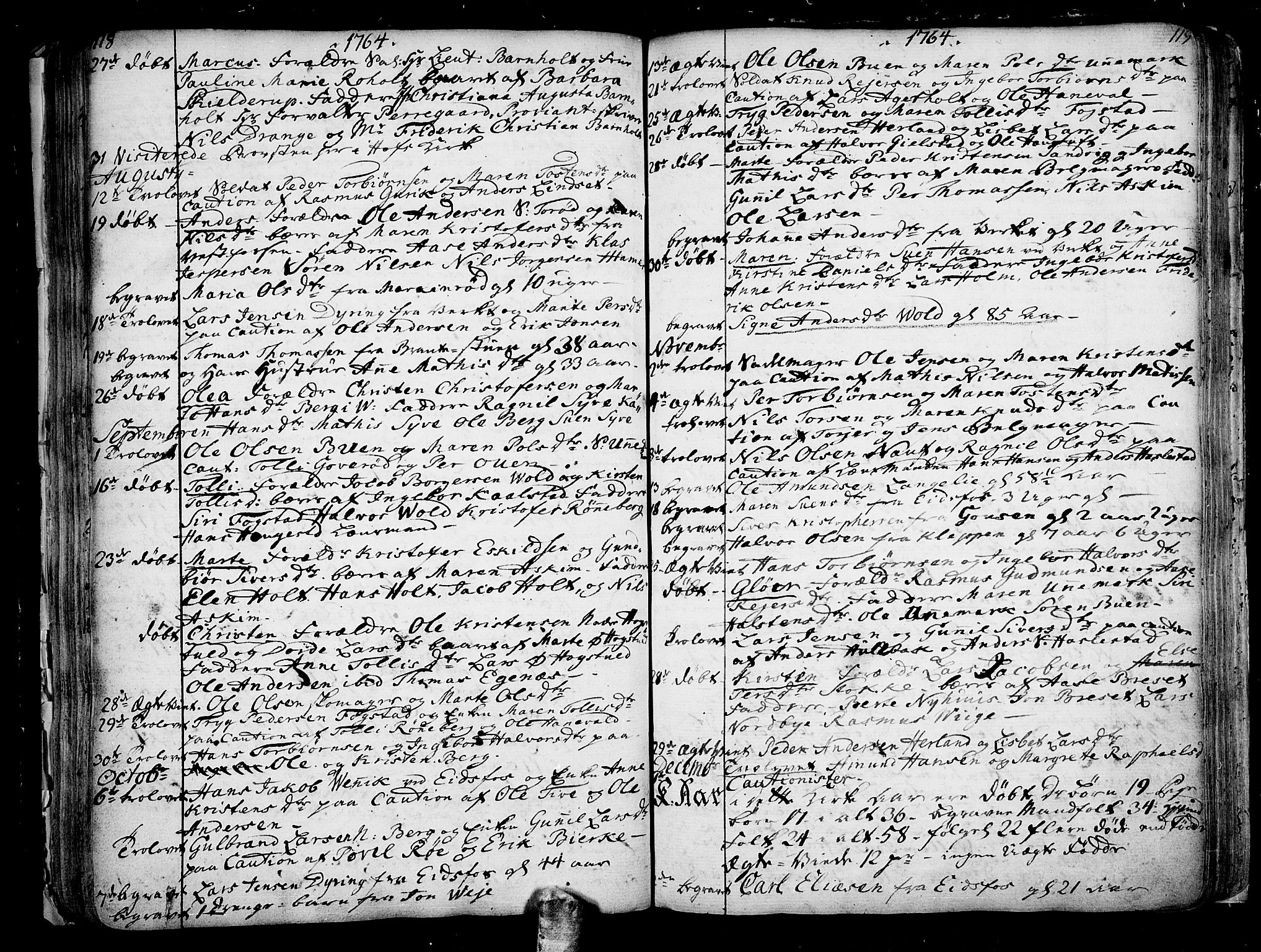 Hof kirkebøker, AV/SAKO-A-64/F/Fa/L0002: Parish register (official) no. I 2, 1746-1781, p. 118-119