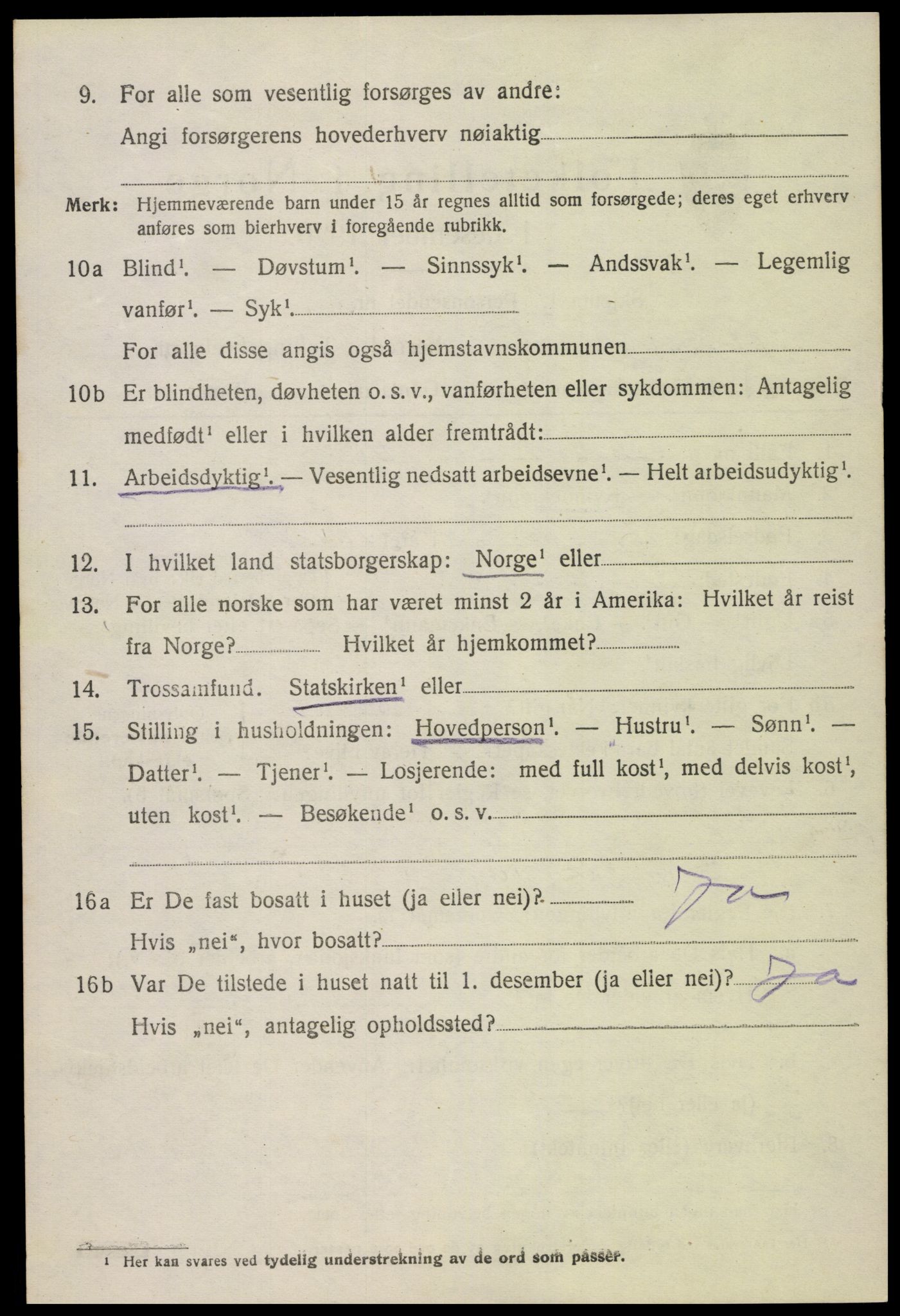 SAK, 1920 census for Hornnes, 1920, p. 688