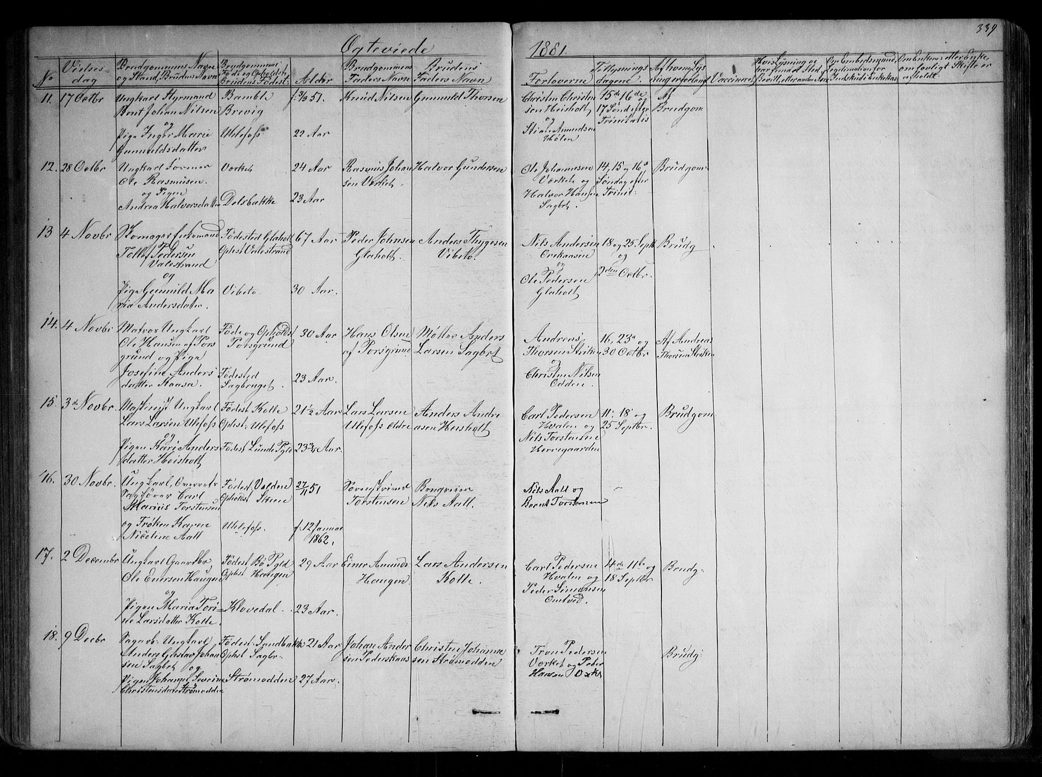 Holla kirkebøker, SAKO/A-272/G/Ga/L0004: Parish register (copy) no. I 4, 1867-1890, p. 339