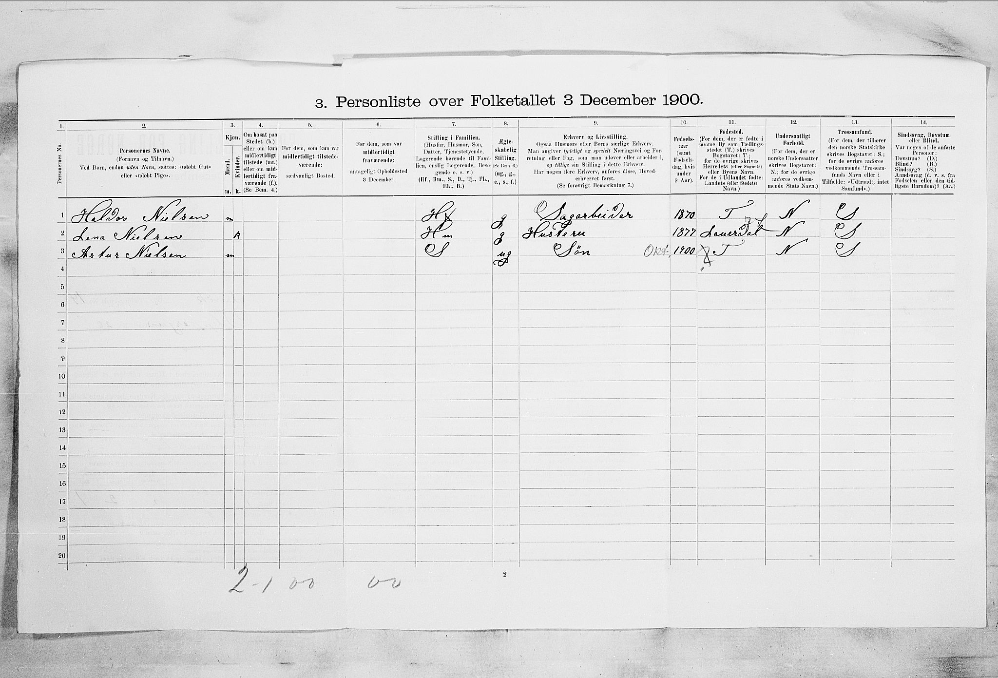 RA, 1900 census for Larvik, 1900, p. 1393