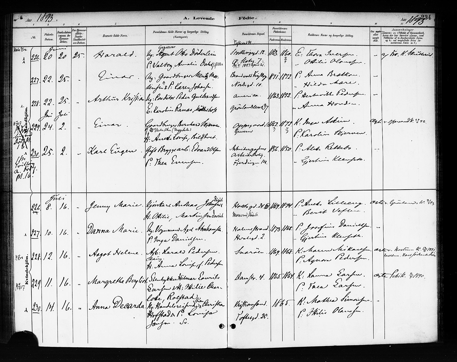 Rikshospitalet prestekontor Kirkebøker, SAO/A-10309b/F/L0008: Parish register (official) no. 8, 1890-1893, p. 234