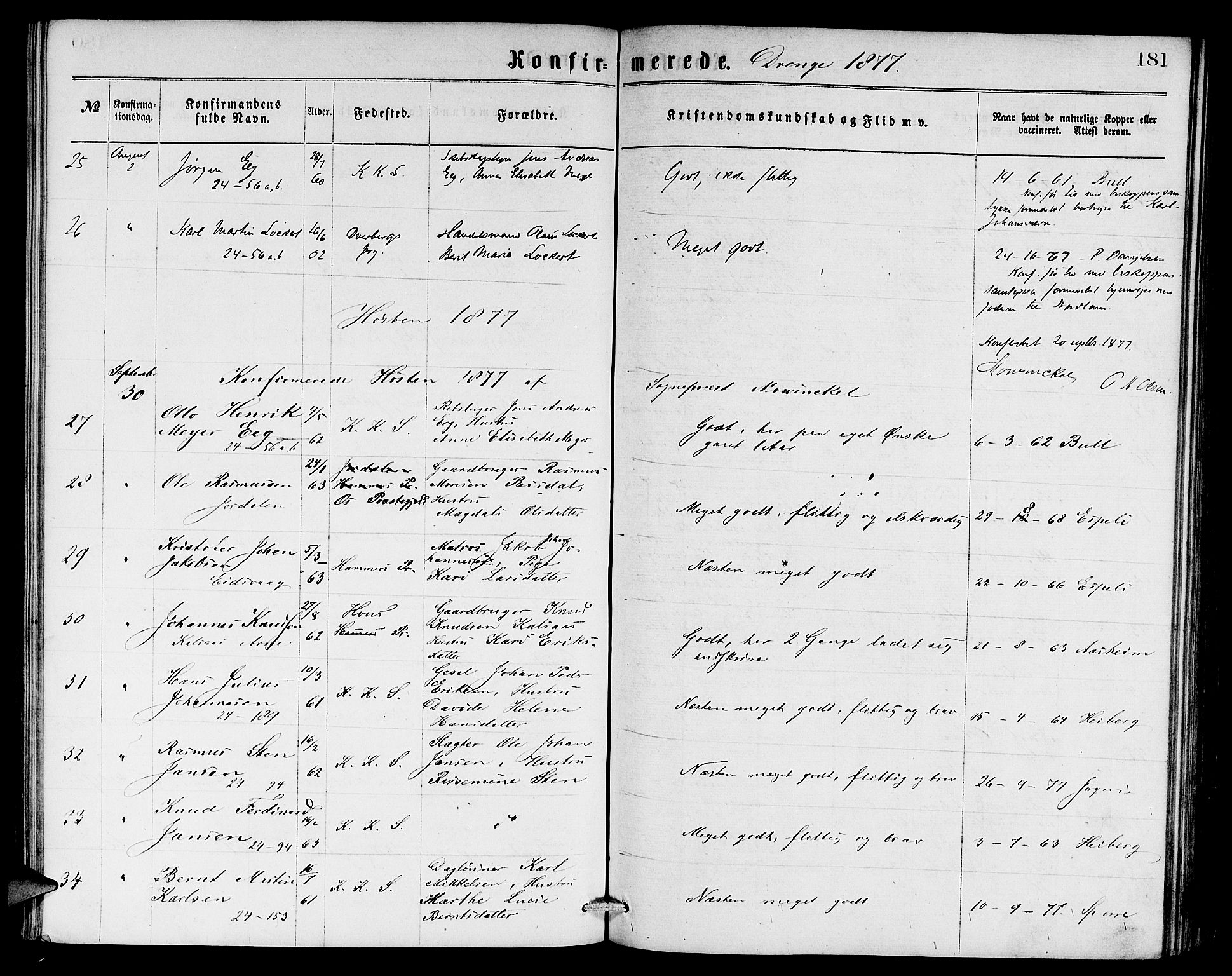 Sandviken Sokneprestembete, AV/SAB-A-77601/H/Hb: Parish register (copy) no. A 1, 1867-1879, p. 181
