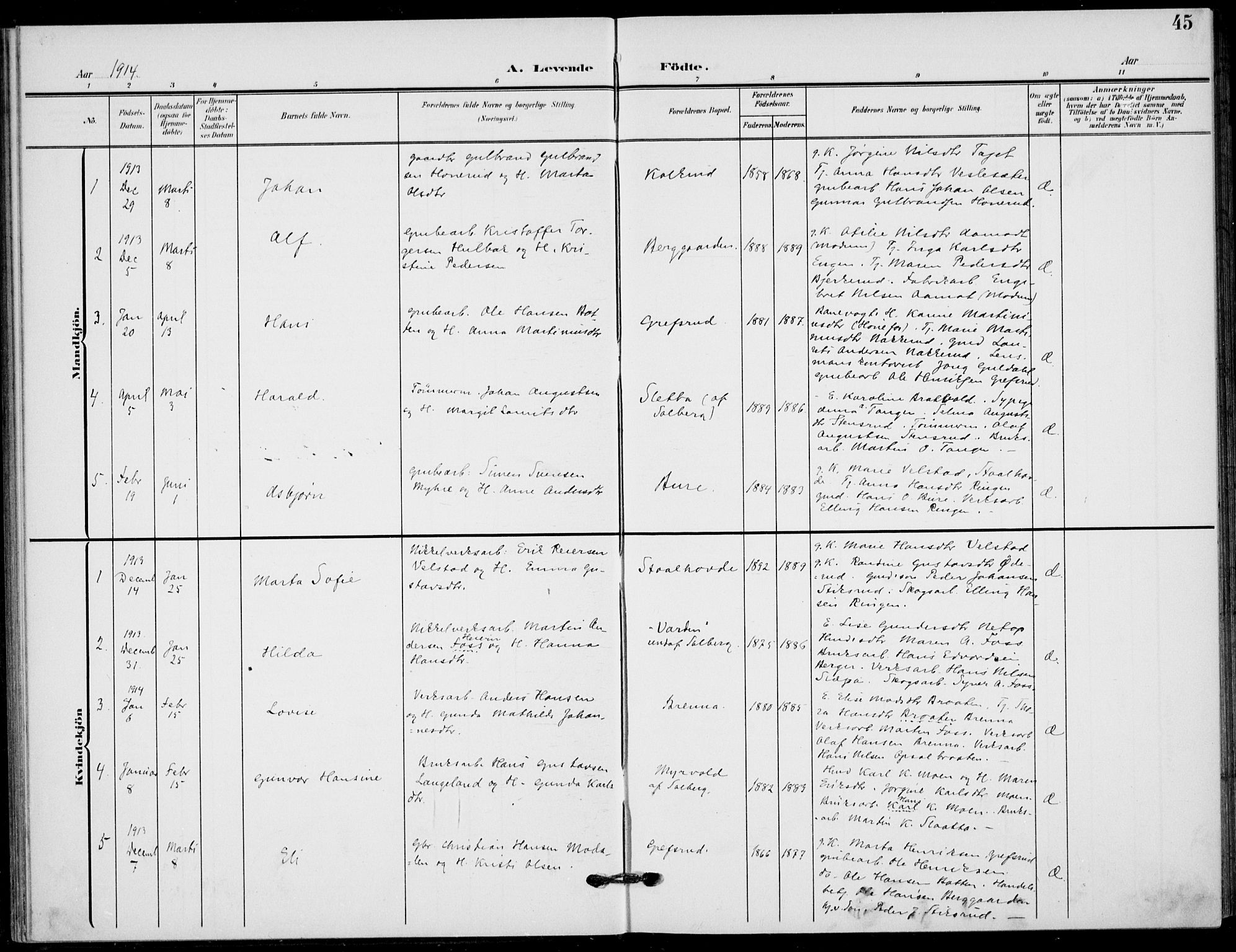 Hole kirkebøker, SAKO/A-228/F/Fb/L0003: Parish register (official) no. II 3, 1906-1916, p. 45