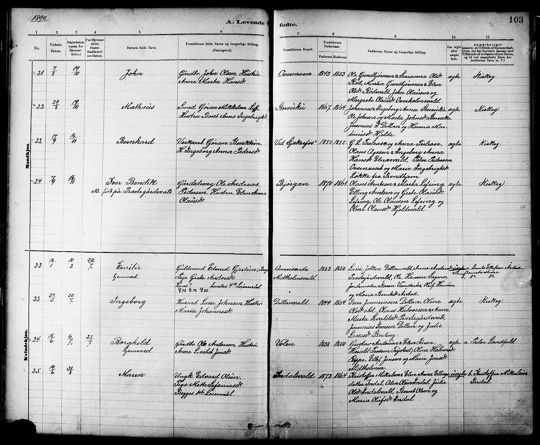 Ministerialprotokoller, klokkerbøker og fødselsregistre - Nord-Trøndelag, AV/SAT-A-1458/724/L0267: Parish register (copy) no. 724C03, 1879-1898, p. 103