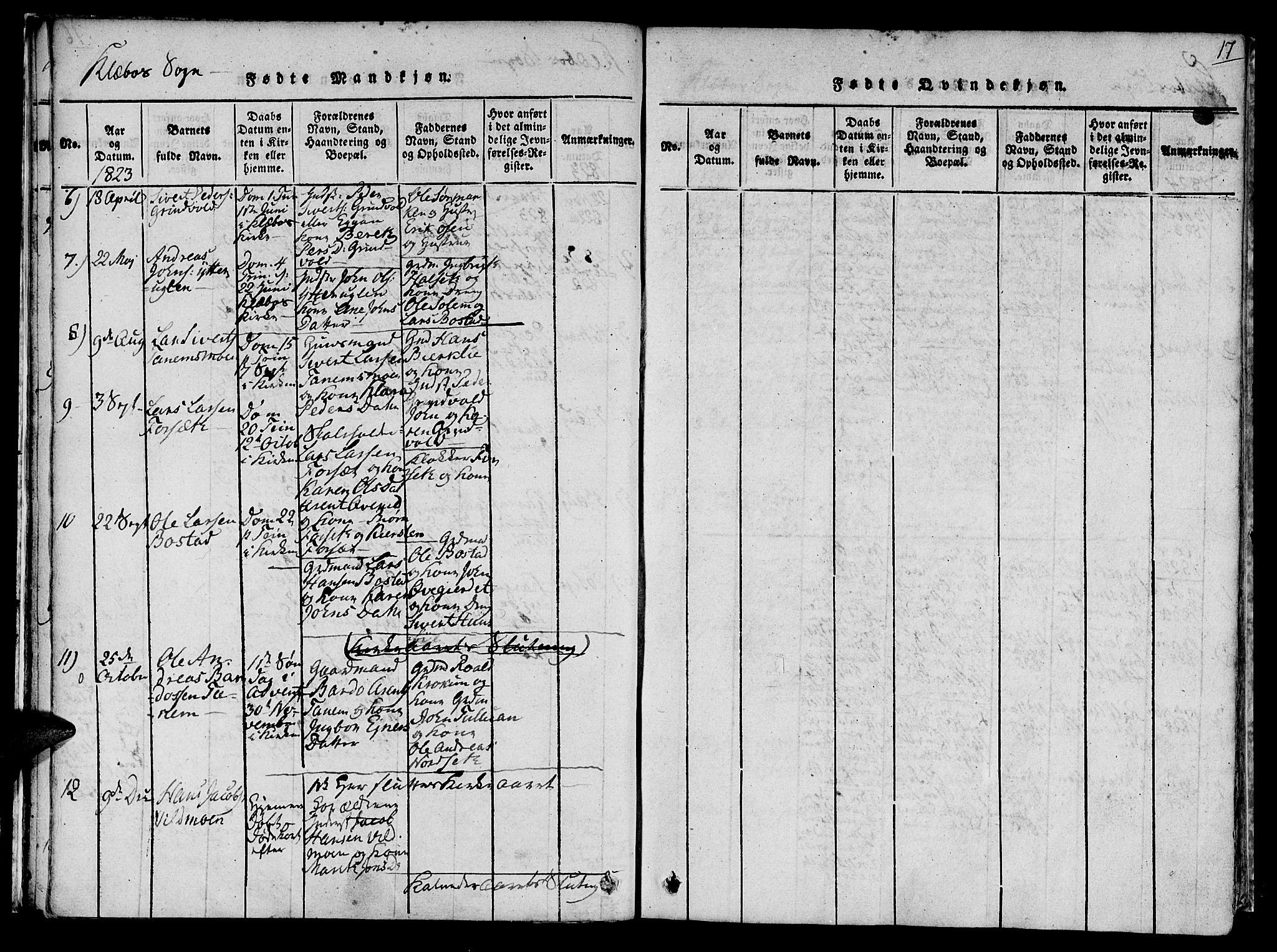 Ministerialprotokoller, klokkerbøker og fødselsregistre - Sør-Trøndelag, AV/SAT-A-1456/618/L0439: Parish register (official) no. 618A04 /1, 1816-1843, p. 17