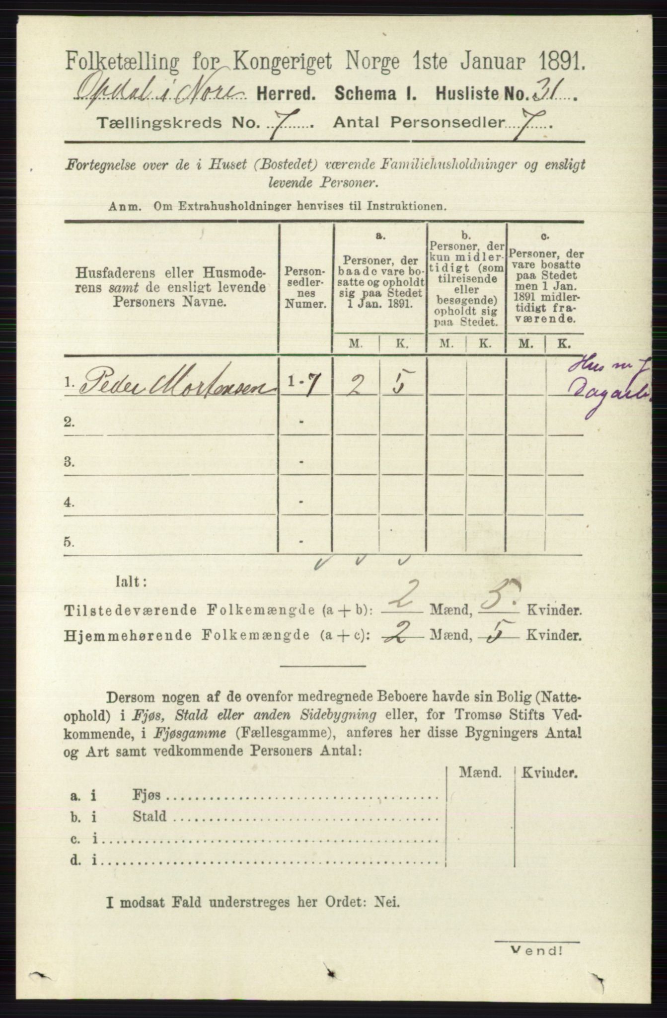 RA, 1891 census for 0633 Nore, 1891, p. 2593