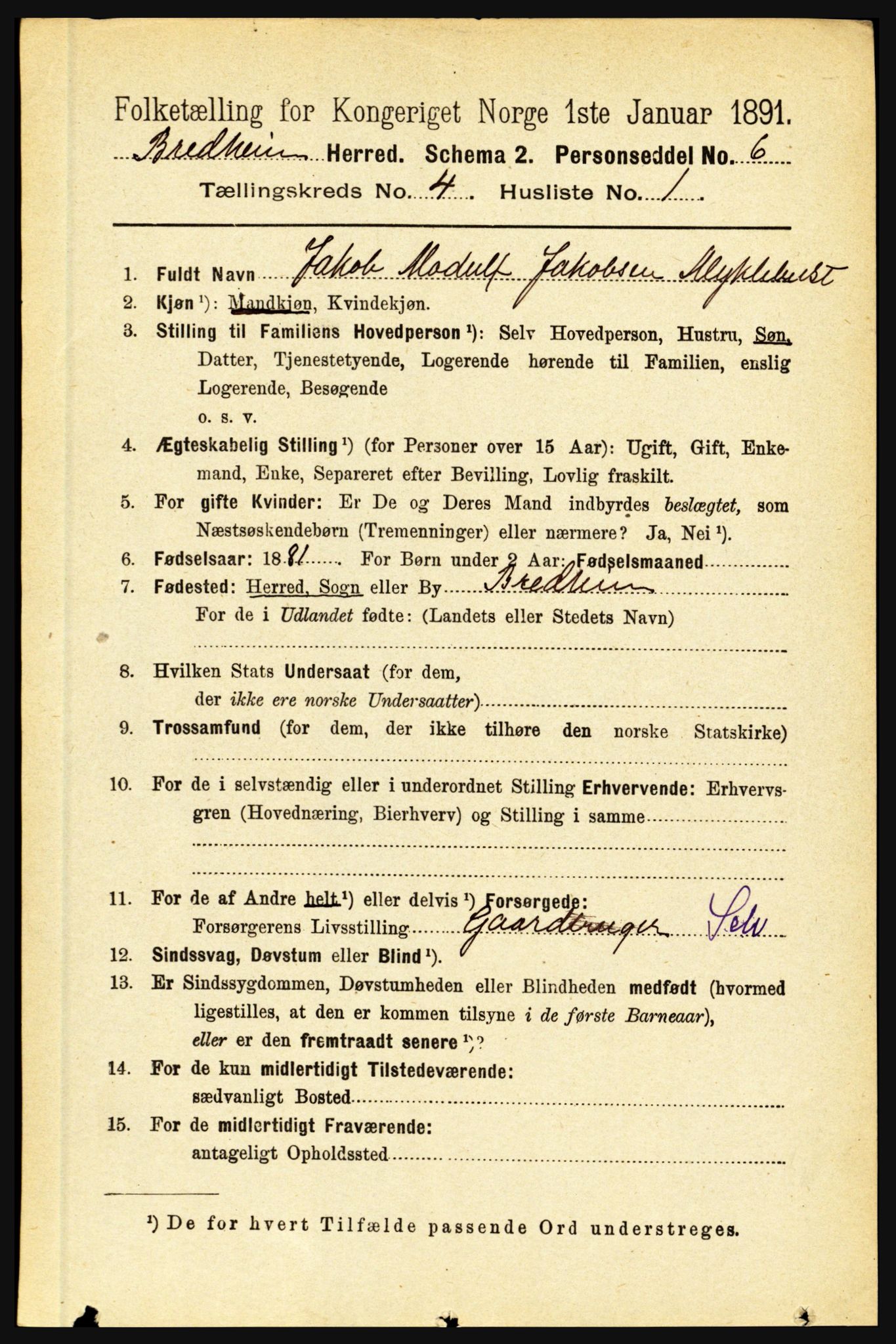 RA, 1891 census for 1446 Breim, 1891, p. 1307