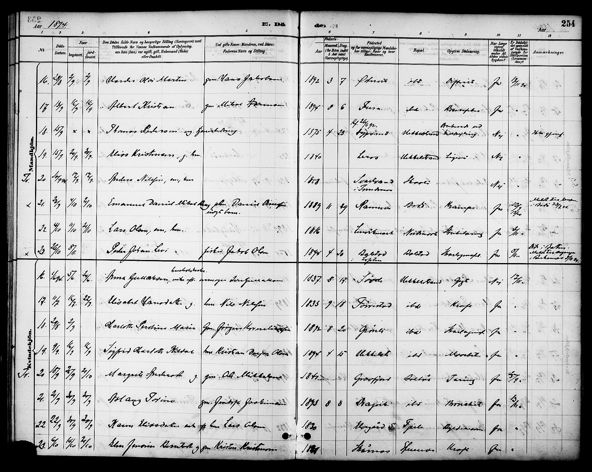 Ministerialprotokoller, klokkerbøker og fødselsregistre - Nordland, AV/SAT-A-1459/863/L0898: Parish register (official) no. 863A10, 1886-1897, p. 254