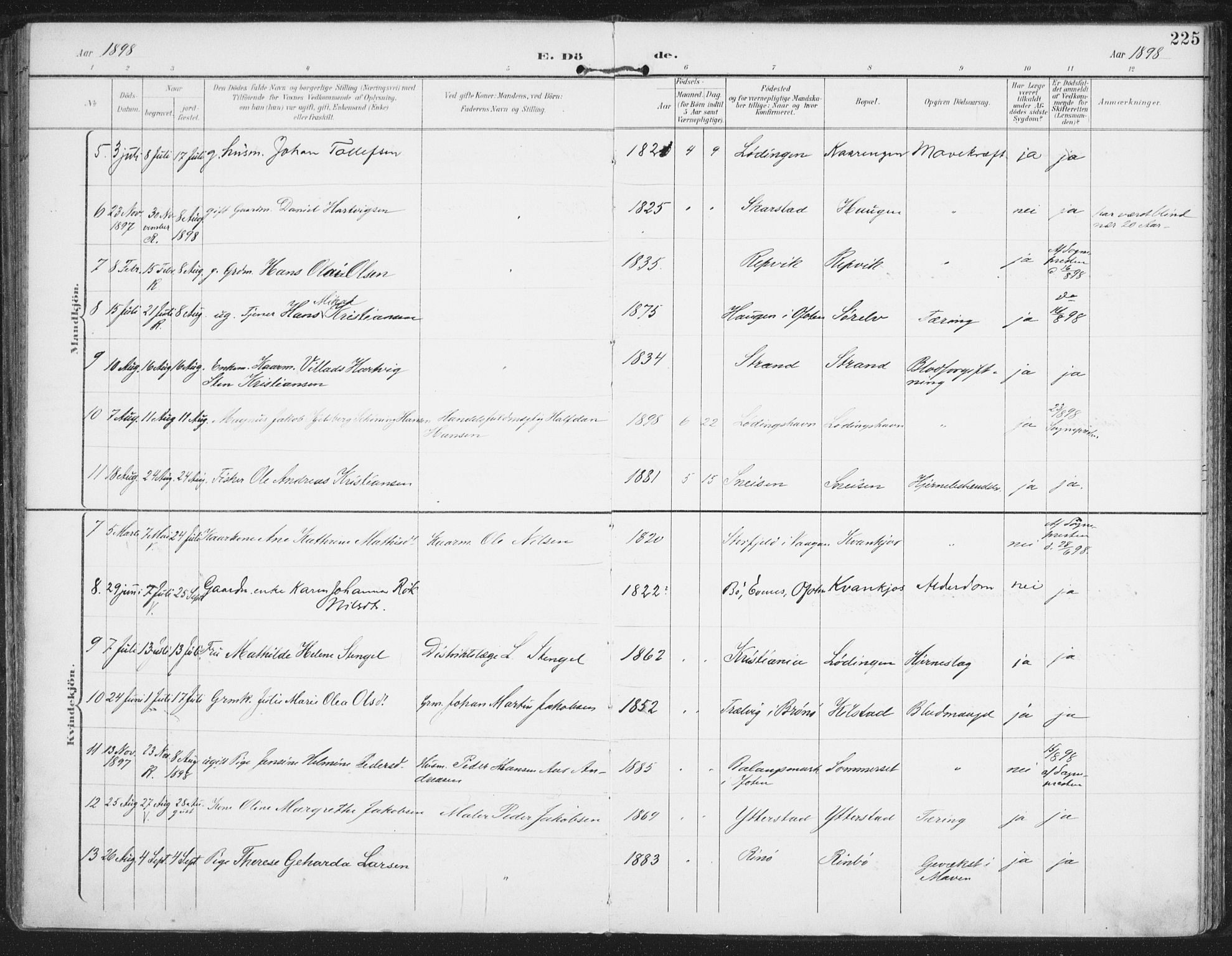 Ministerialprotokoller, klokkerbøker og fødselsregistre - Nordland, AV/SAT-A-1459/872/L1036: Parish register (official) no. 872A11, 1897-1913, p. 225