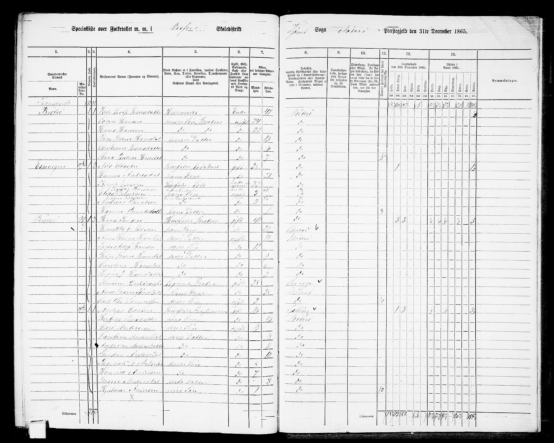 RA, 1865 census for Nøtterøy, 1865, p. 304