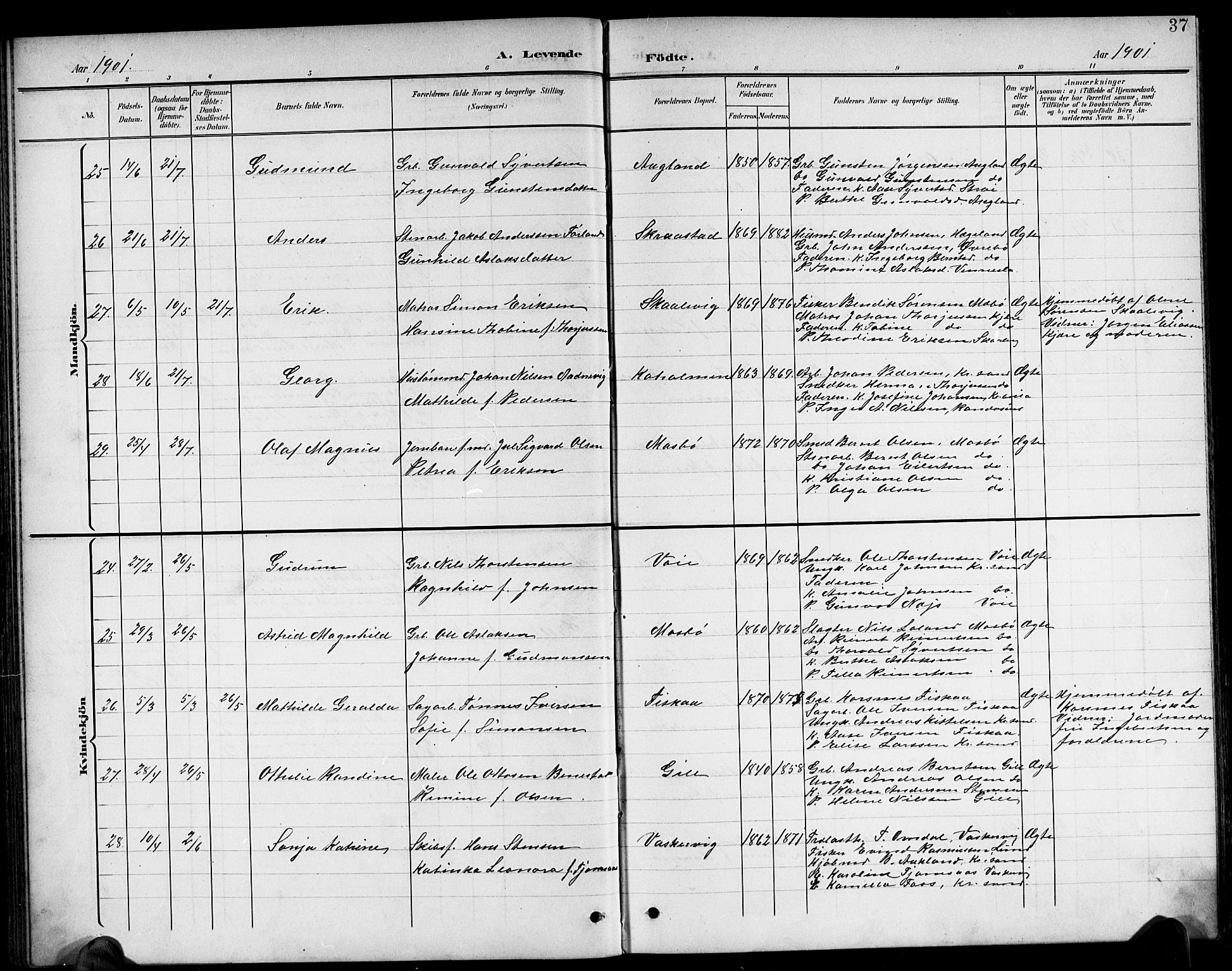 Oddernes sokneprestkontor, AV/SAK-1111-0033/F/Fb/Fba/L0009: Parish register (copy) no. B 9, 1899-1923, p. 37