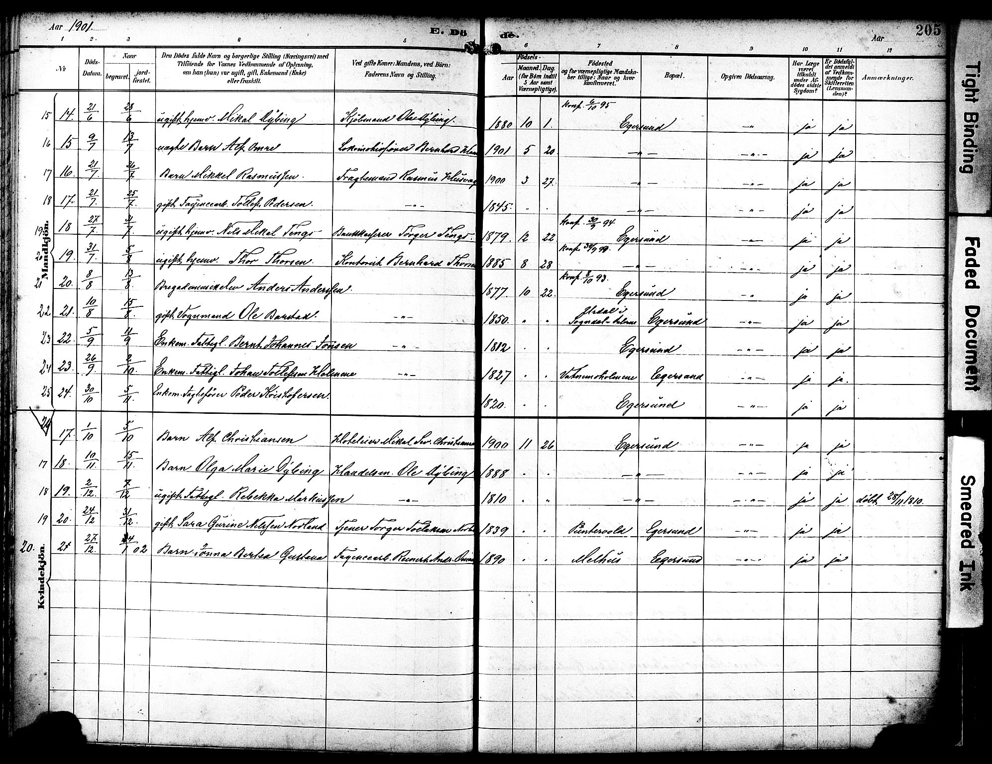 Eigersund sokneprestkontor, AV/SAST-A-101807/S08/L0019: Parish register (official) no. A 18, 1892-1905, p. 205