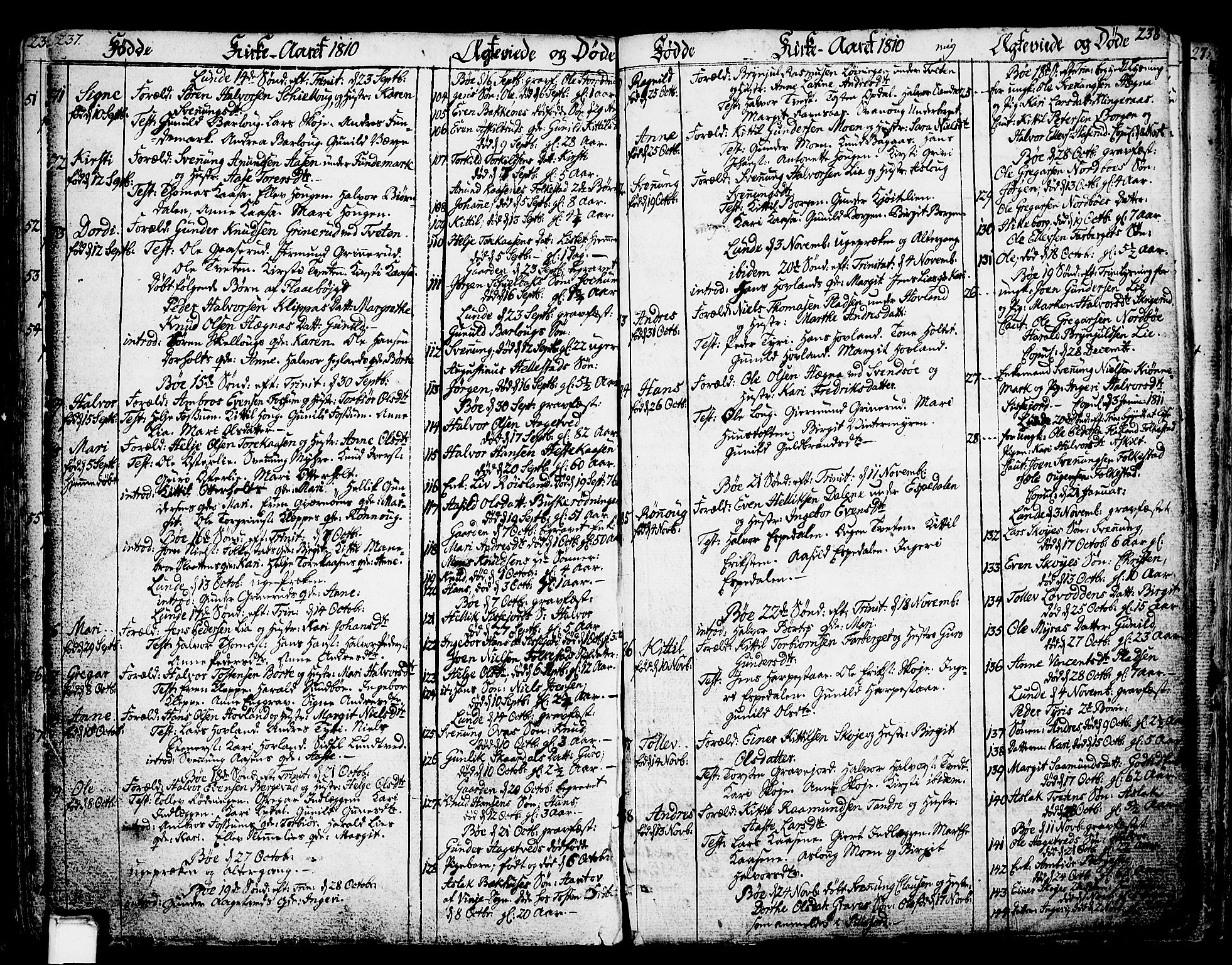 Bø kirkebøker, SAKO/A-257/F/Fa/L0005: Parish register (official) no. 5, 1785-1815, p. 237-238