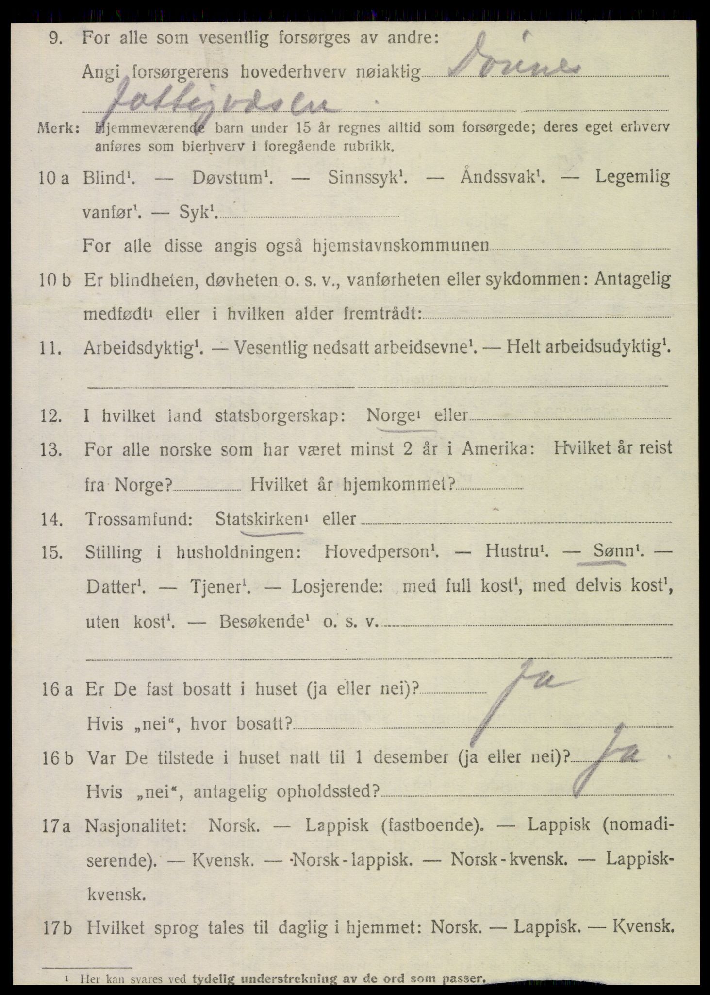 SAT, 1920 census for Dønnes, 1920, p. 3351