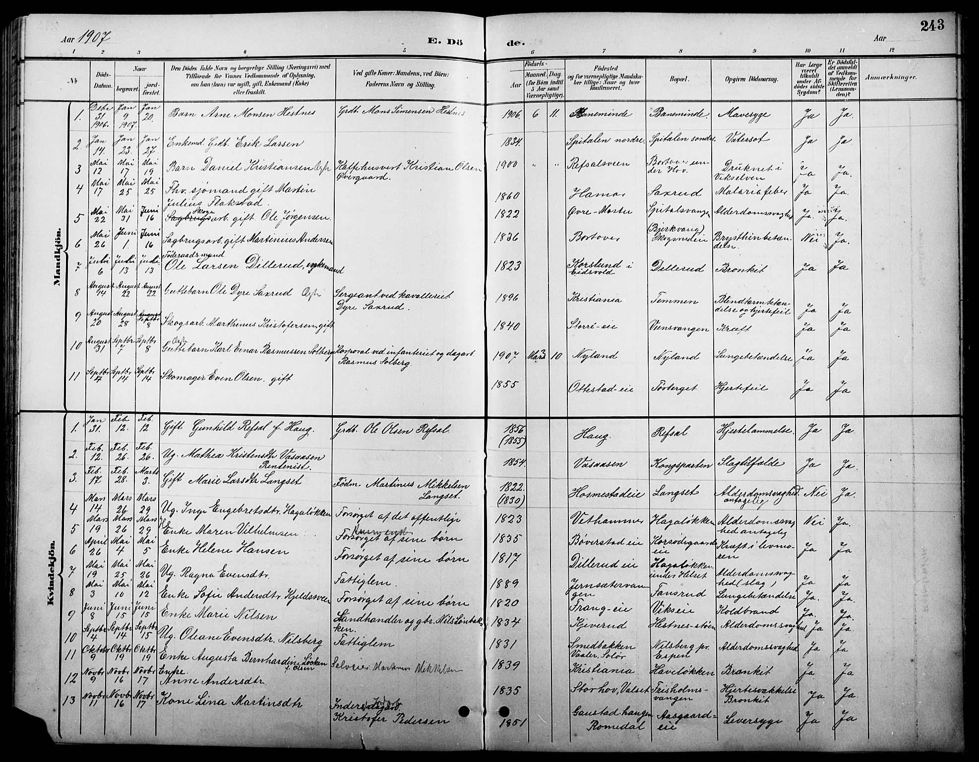 Stange prestekontor, SAH/PREST-002/L/L0011: Parish register (copy) no. 11, 1895-1917, p. 243