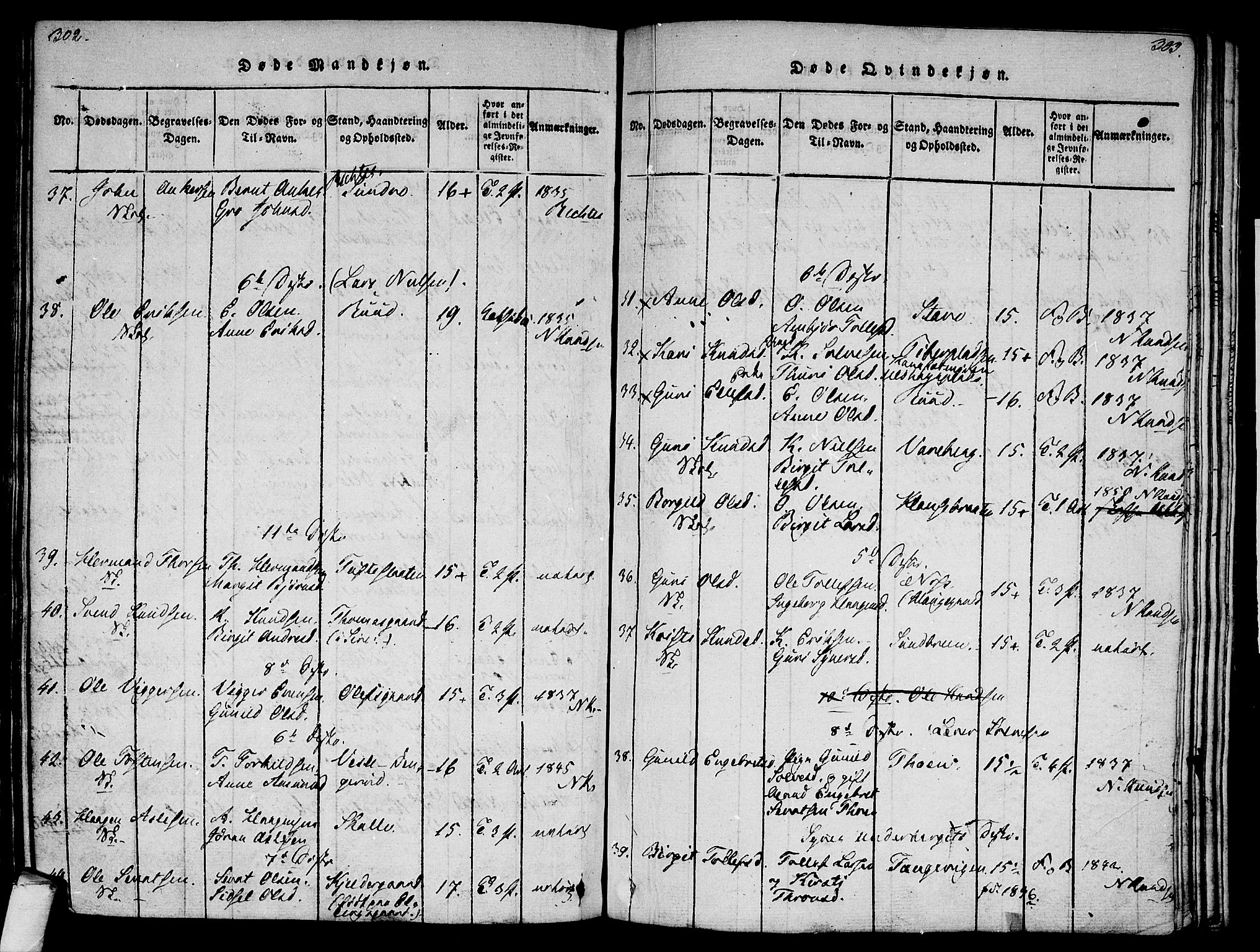 Ål kirkebøker, AV/SAKO-A-249/F/Fa/L0004: Parish register (official) no. I 4, 1815-1825, p. 302-303