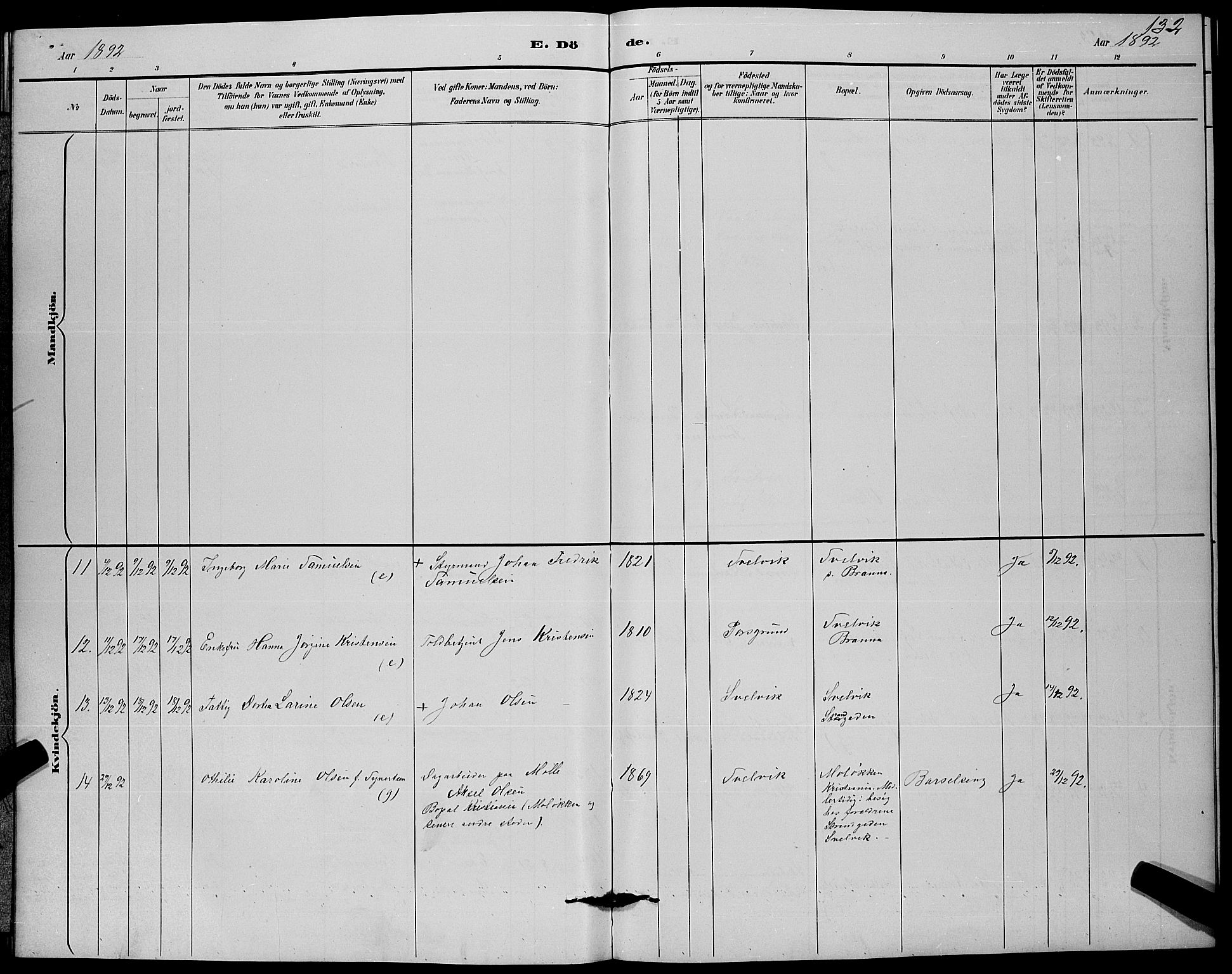 Strømm kirkebøker, AV/SAKO-A-322/G/Gb/L0001: Parish register (copy) no. II 1, 1889-1896, p. 132