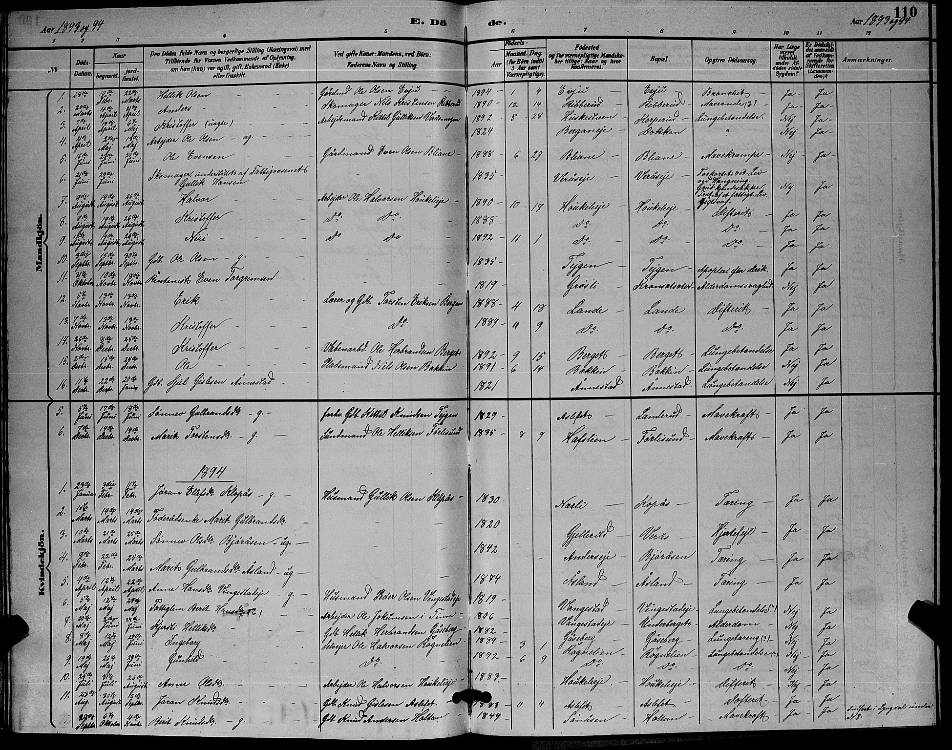 Flesberg kirkebøker, AV/SAKO-A-18/G/Ga/L0004: Parish register (copy) no. I 4 /1, 1890-1898, p. 110