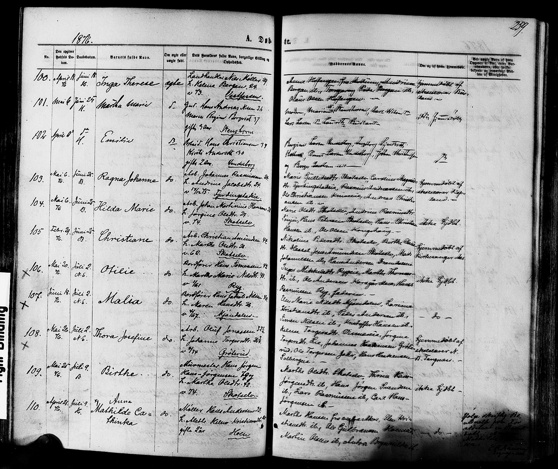 Eiker kirkebøker, SAKO/A-4/F/Fa/L0017: Parish register (official) no. I 17, 1869-1877, p. 259