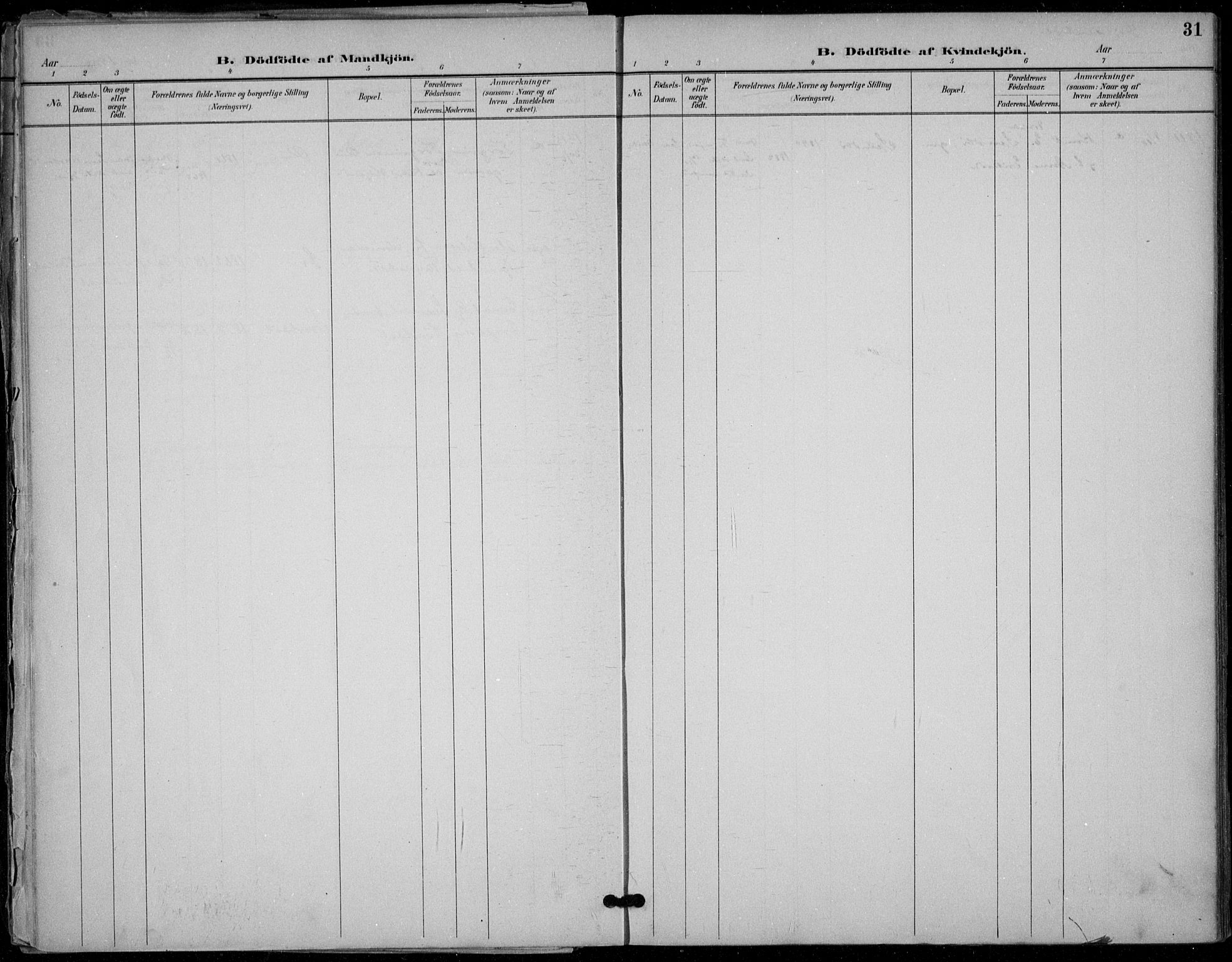 Seljord kirkebøker, SAKO/A-20/F/Fb/L0002: Parish register (official) no. II 2, 1887-1917, p. 31