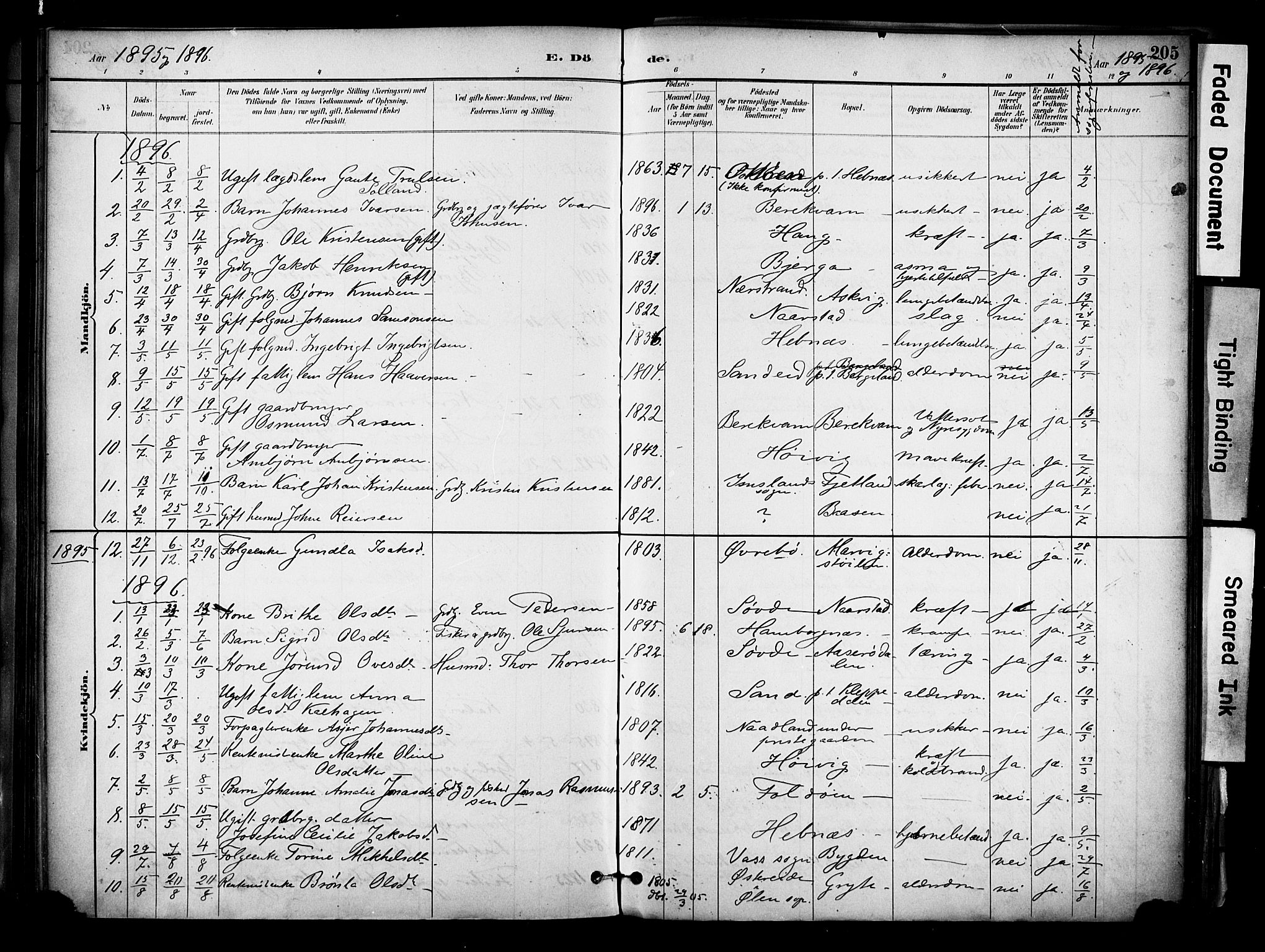 Jelsa sokneprestkontor, SAST/A-101842/01/IV: Parish register (official) no. A 10, 1884-1906, p. 205