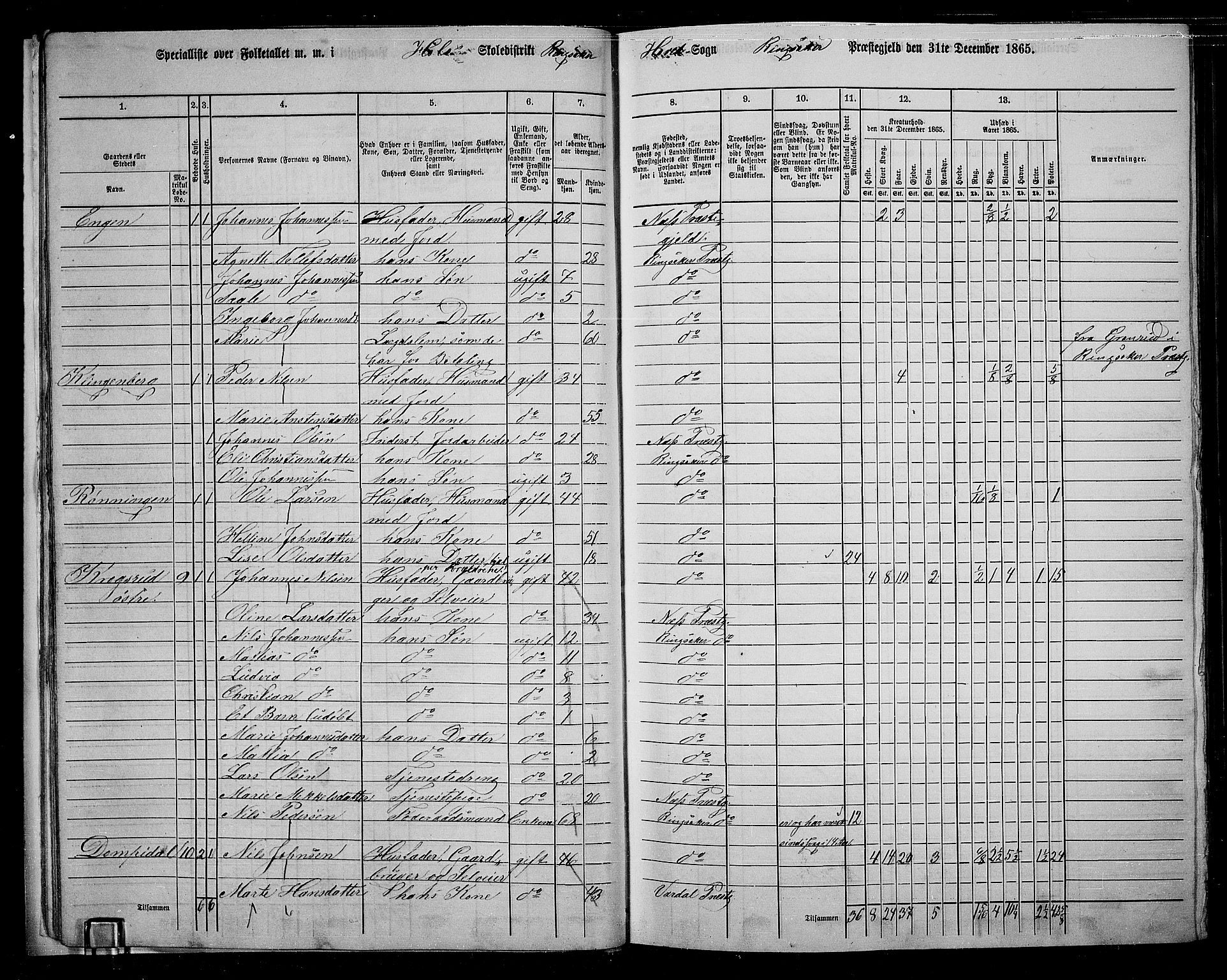 RA, 1865 census for Ringsaker, 1865, p. 29