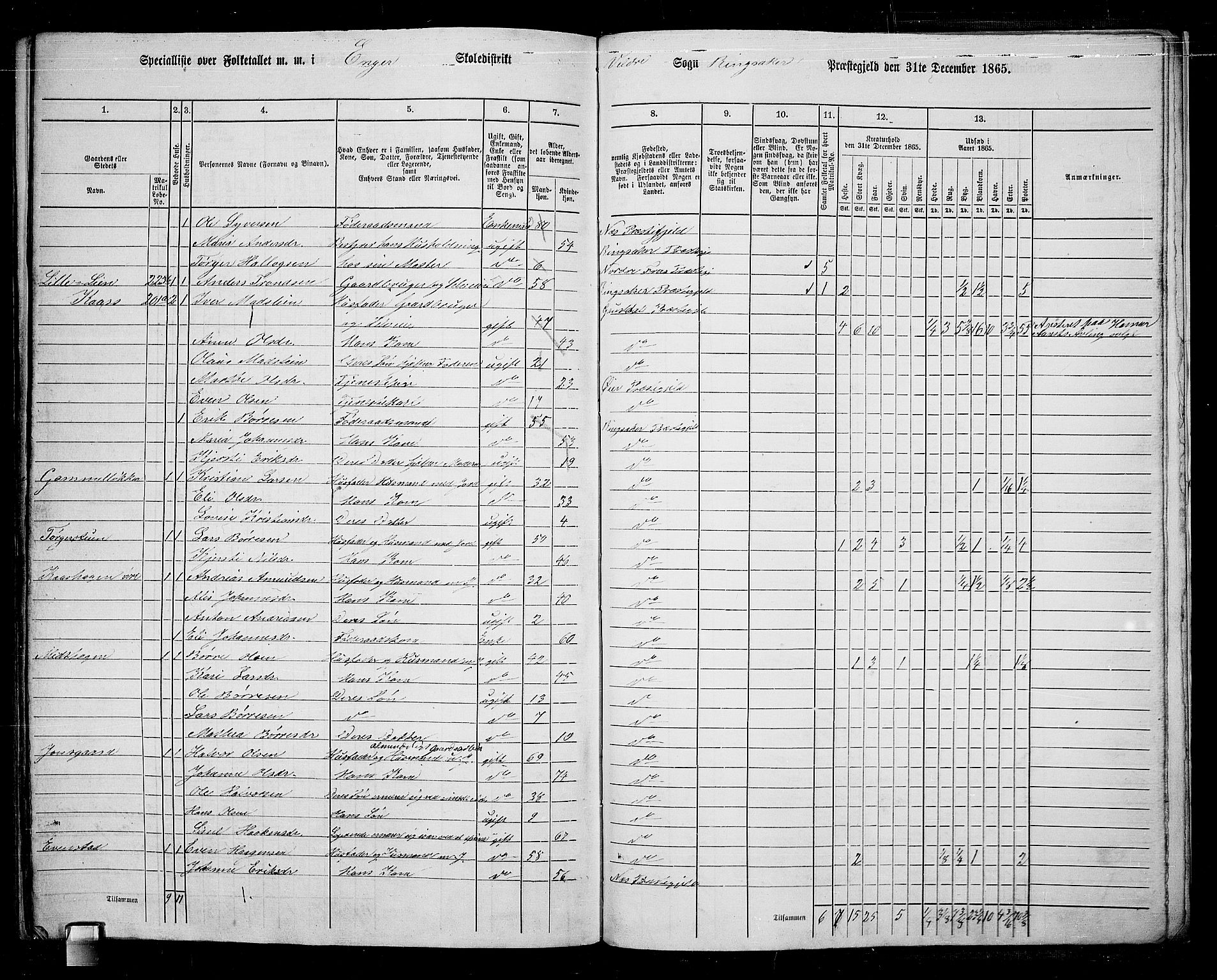 RA, 1865 census for Ringsaker, 1865, p. 252