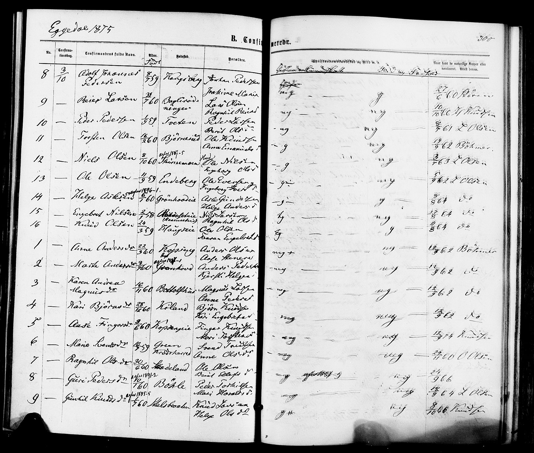 Sigdal kirkebøker, SAKO/A-245/F/Fa/L0010: Parish register (official) no. I 10 /3, 1872-1878, p. 300