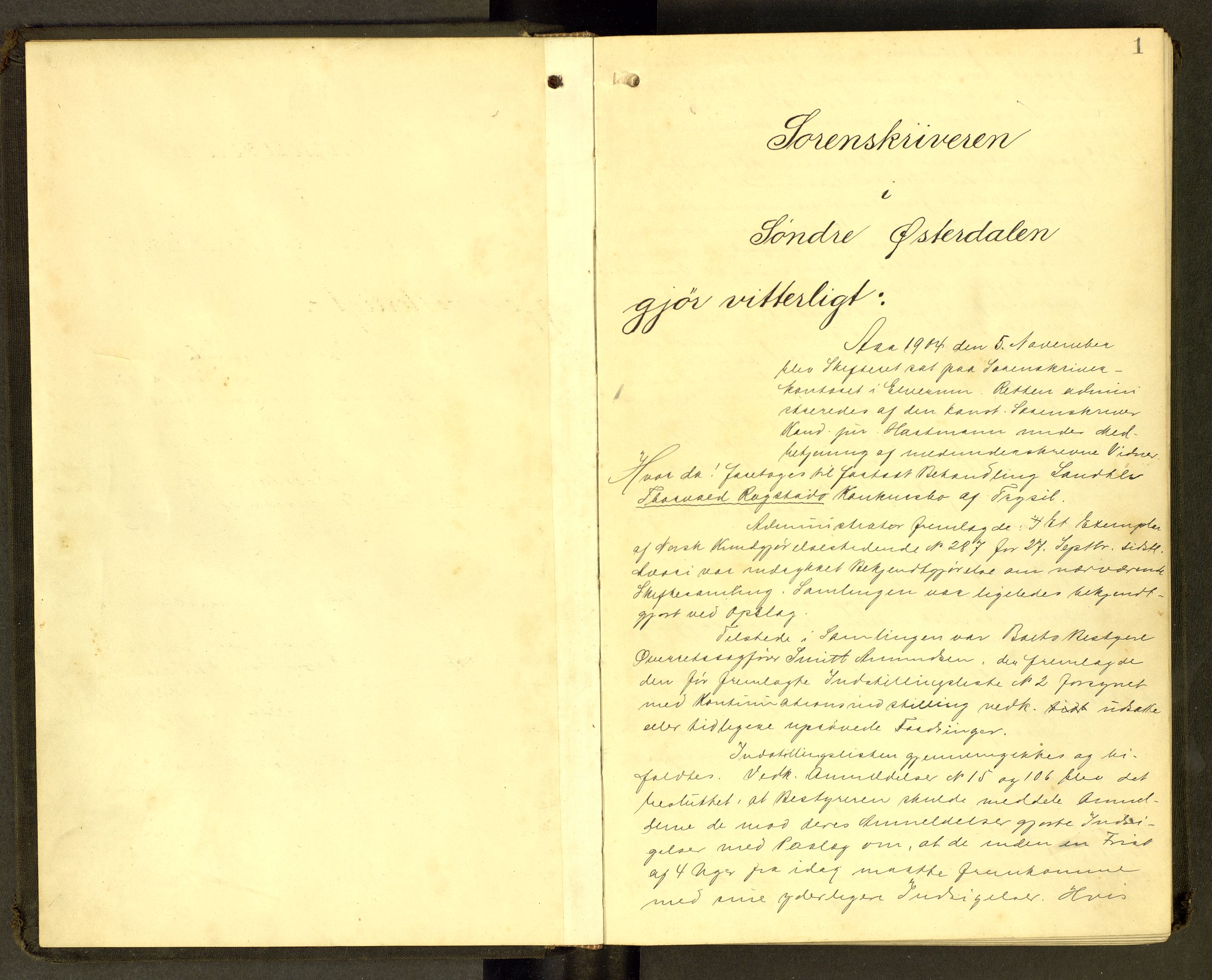 Sør-Østerdal sorenskriveri, AV/SAH-TING-018/J/Jb/L0012: Skiftebehandlingsprotokoll, 1904-1907, p. 1