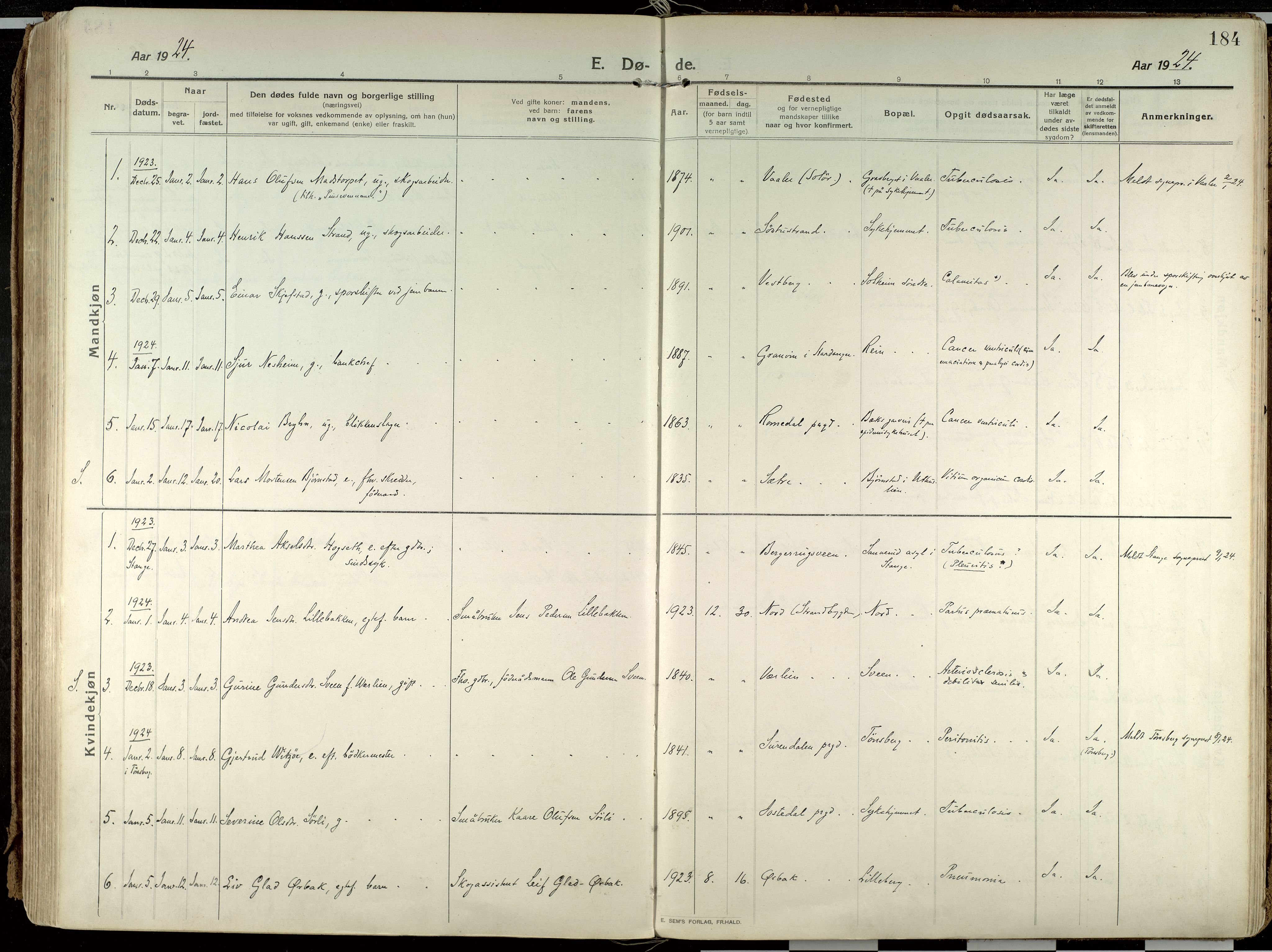 Elverum prestekontor, AV/SAH-PREST-044/H/Ha/Haa/L0021: Parish register (official) no. 21, 1913-1928, p. 184