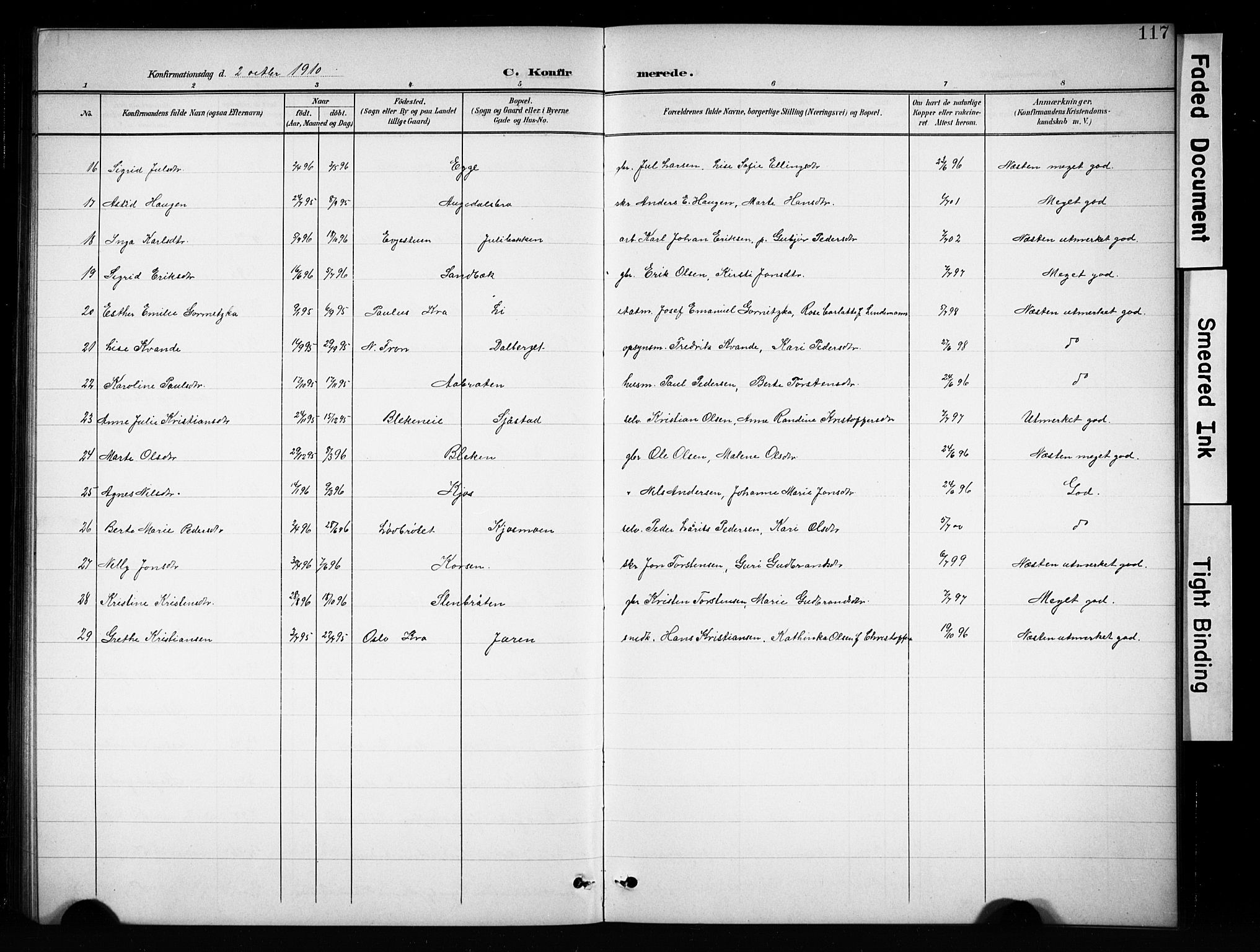Brandbu prestekontor, SAH/PREST-114/H/Ha/Hab/L0005: Parish register (copy) no. 5, 1900-1913, p. 117
