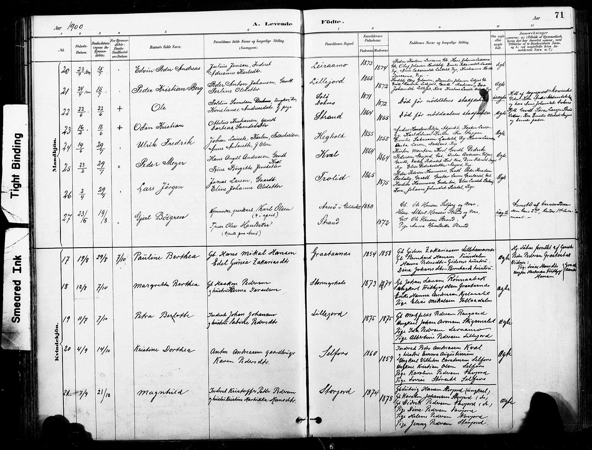 Ministerialprotokoller, klokkerbøker og fødselsregistre - Nordland, AV/SAT-A-1459/846/L0646: Parish register (official) no. 846A04, 1887-1901, p. 71