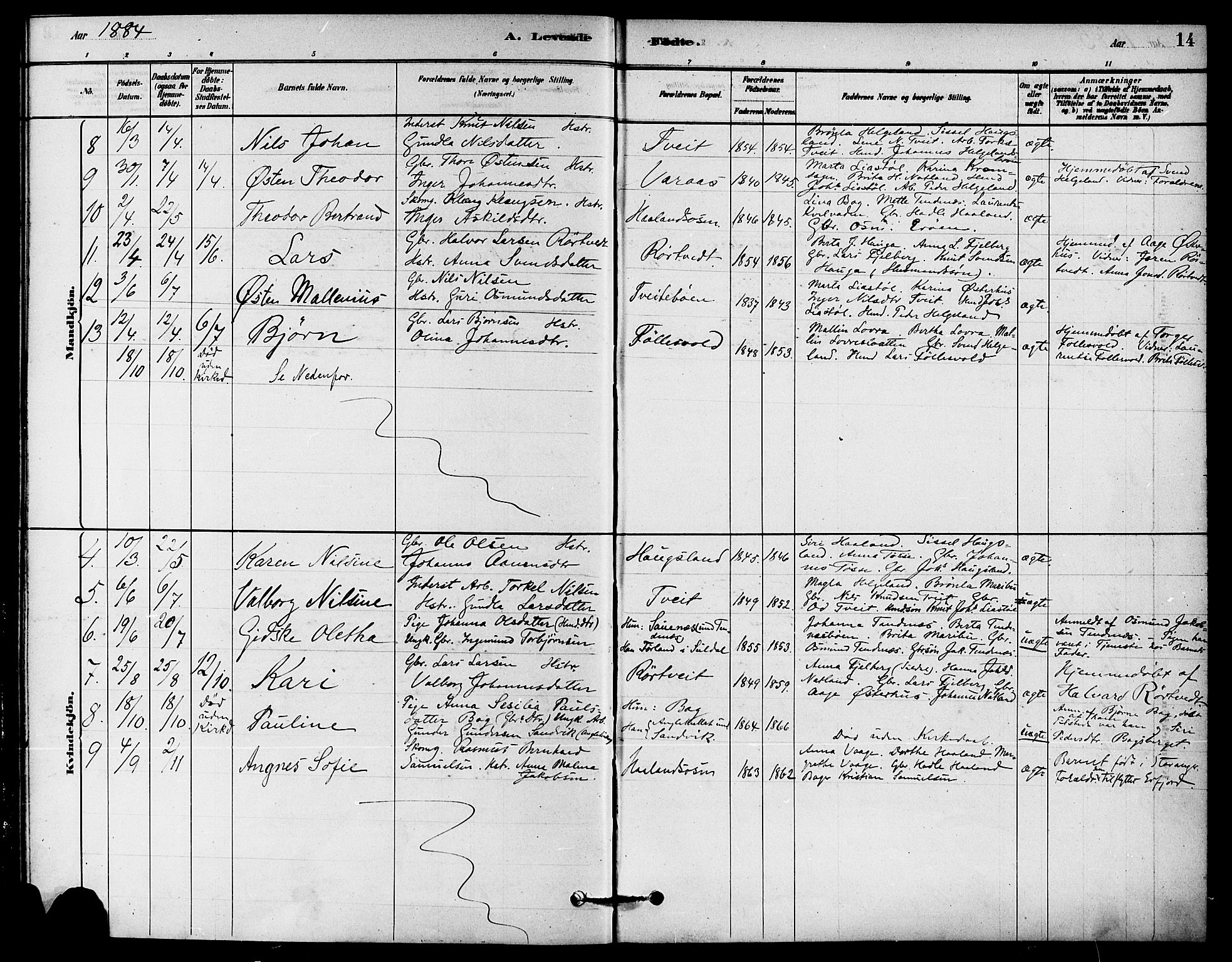 Jelsa sokneprestkontor, AV/SAST-A-101842/01/IV: Parish register (official) no. A 9, 1878-1898, p. 14