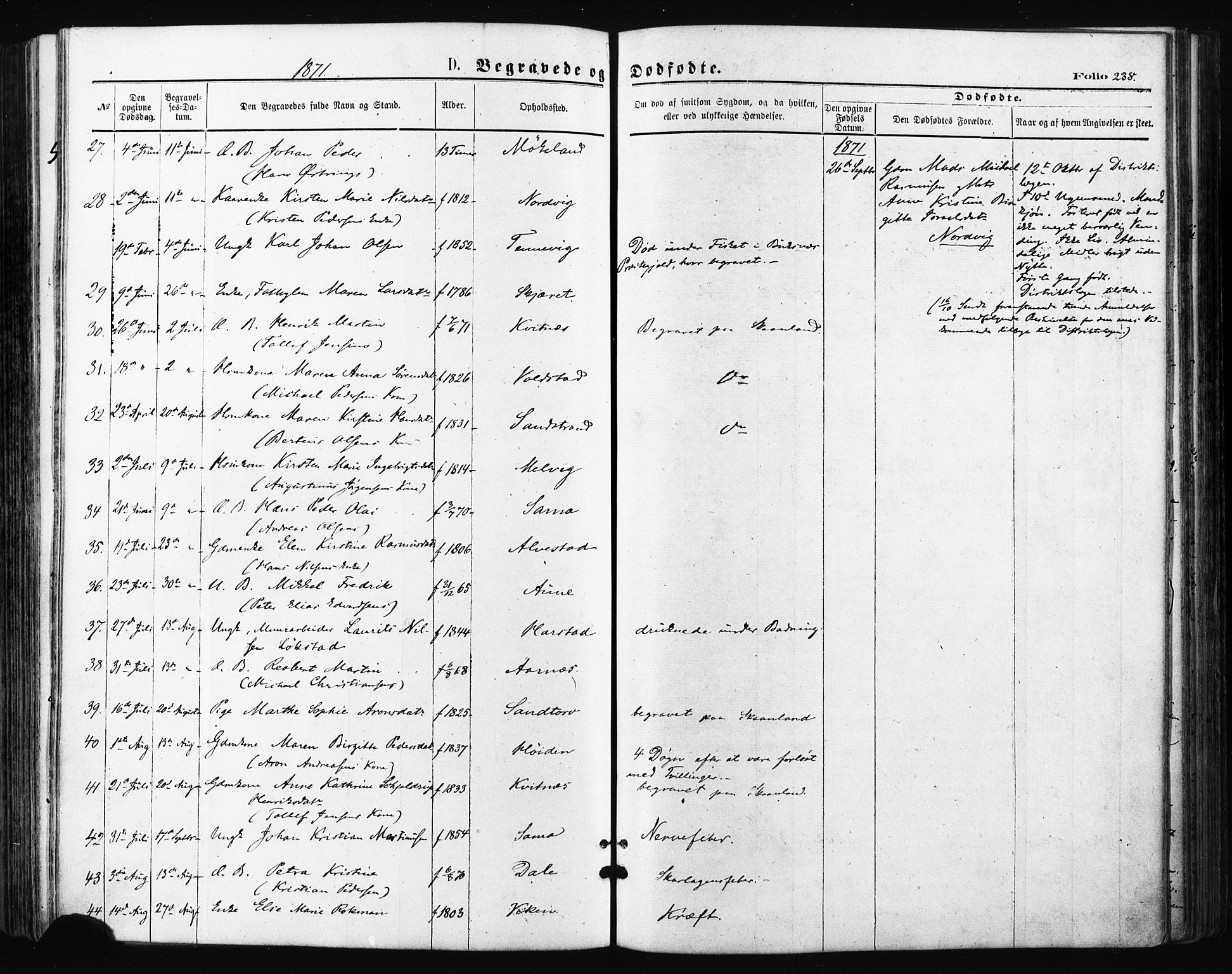 Trondenes sokneprestkontor, SATØ/S-1319/H/Ha/L0013kirke: Parish register (official) no. 13, 1870-1878, p. 238