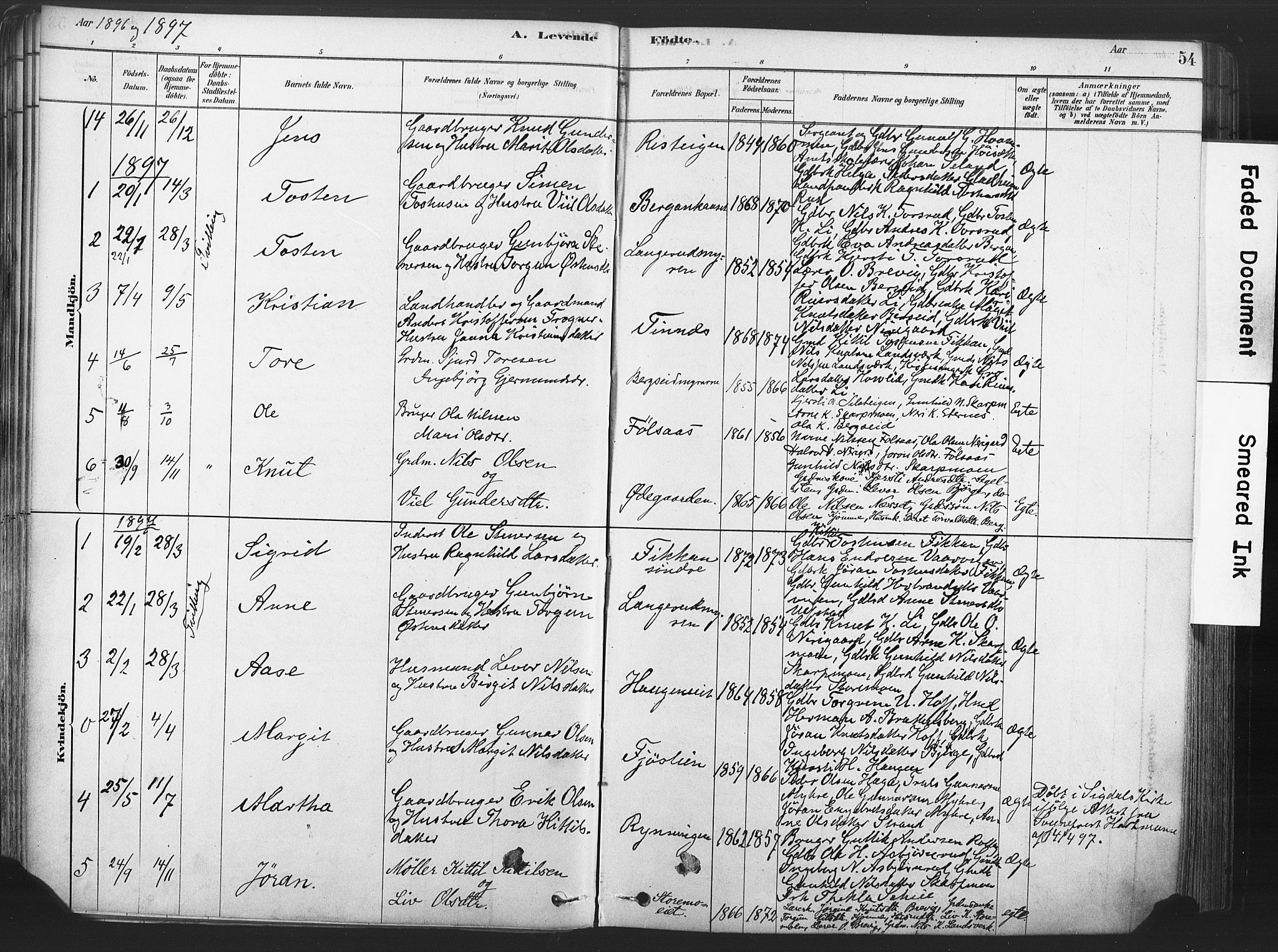 Rollag kirkebøker, SAKO/A-240/F/Fa/L0011: Parish register (official) no. I 11, 1878-1902, p. 54
