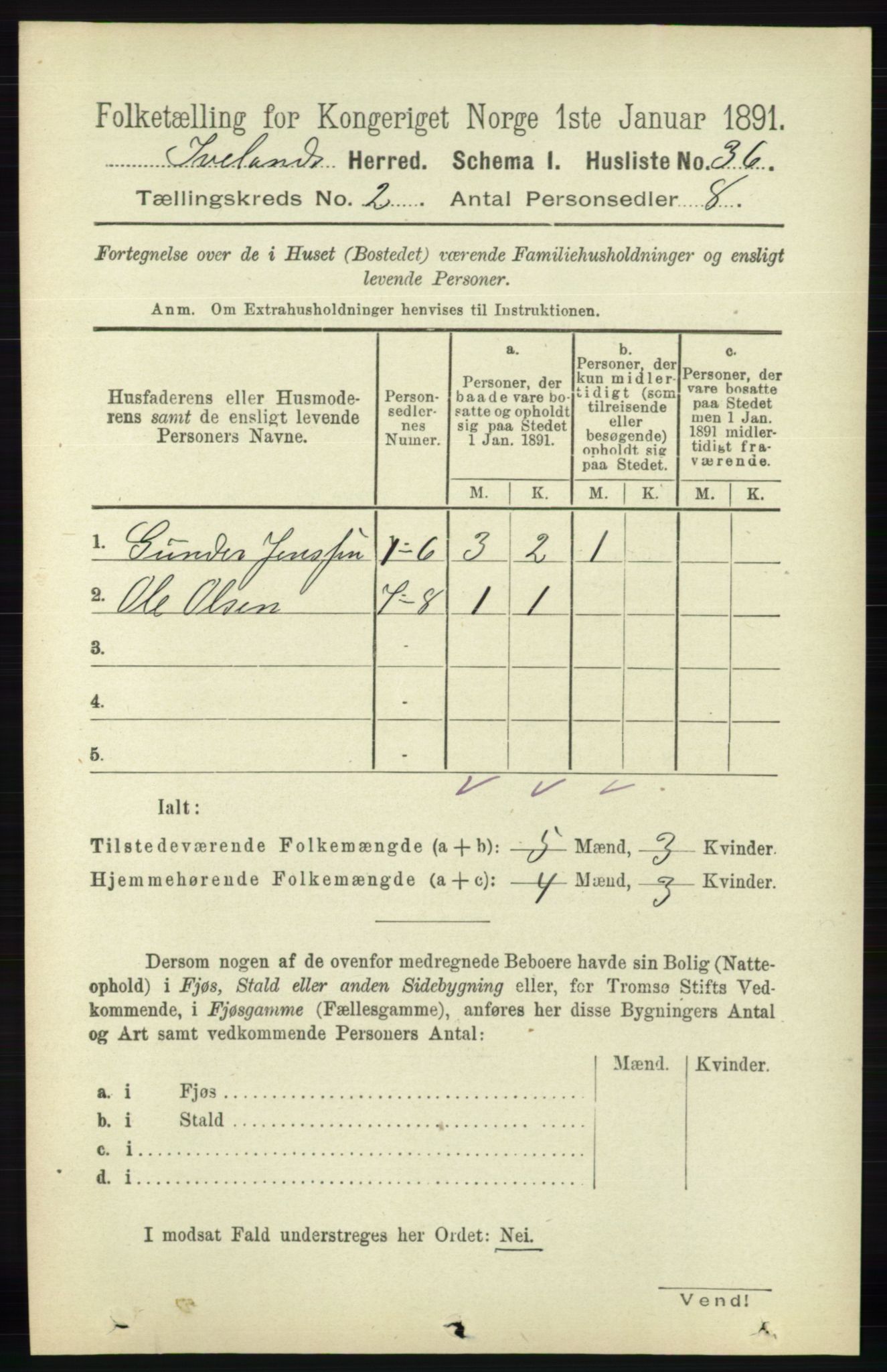 RA, 1891 census for 0935 Iveland, 1891, p. 401