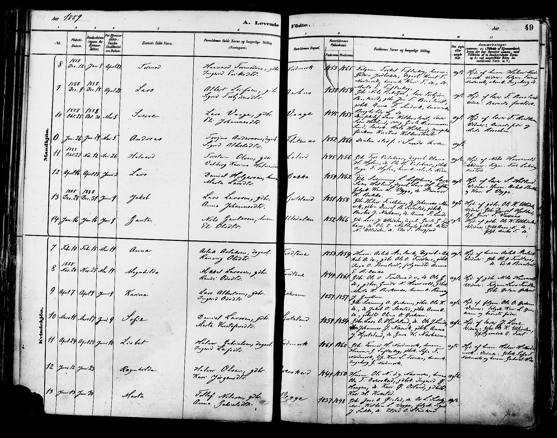 Suldal sokneprestkontor, AV/SAST-A-101845/01/IV/L0011: Parish register (official) no. A 11, 1878-1900, p. 49