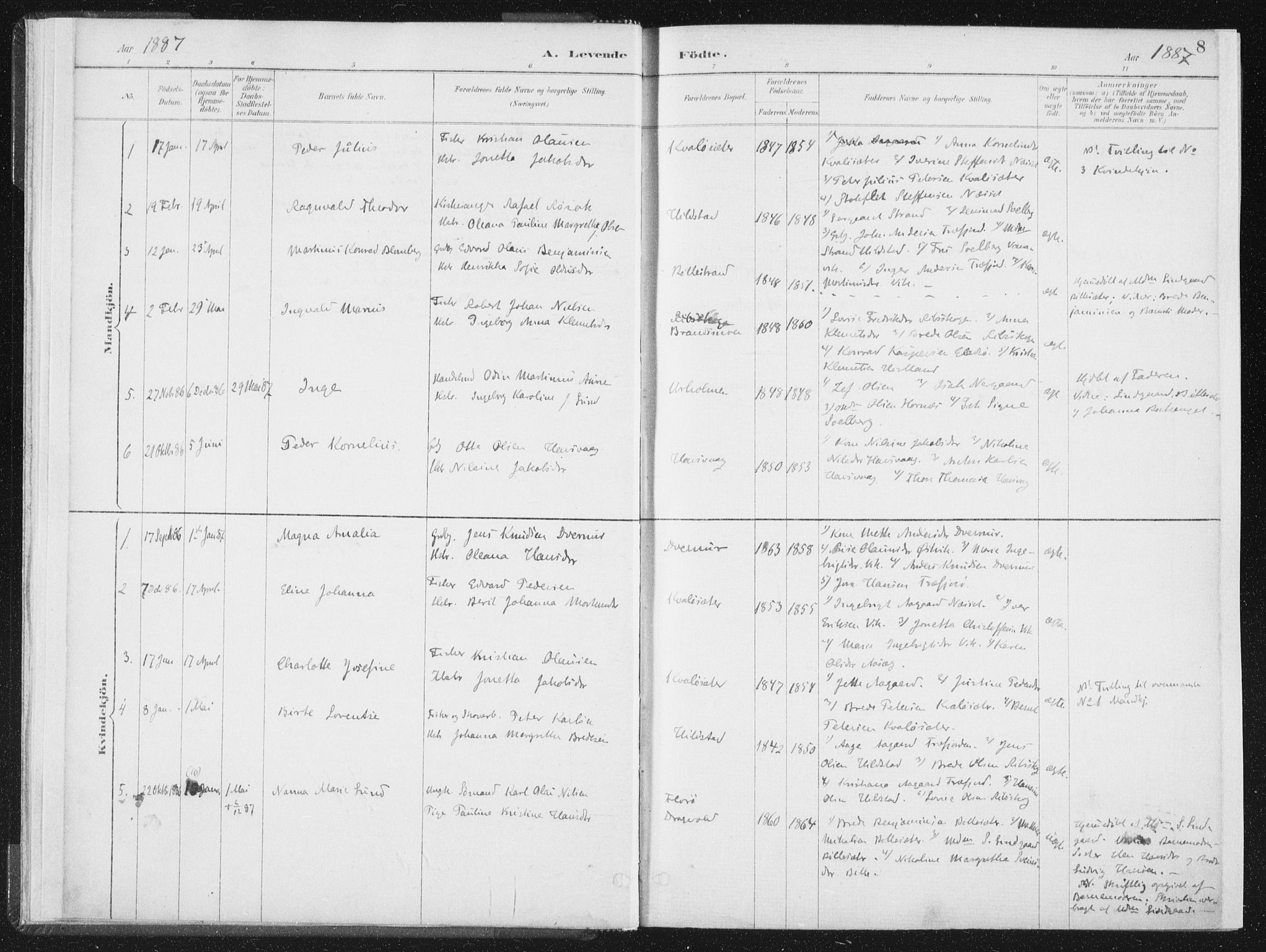 Ministerialprotokoller, klokkerbøker og fødselsregistre - Nord-Trøndelag, SAT/A-1458/771/L0597: Parish register (official) no. 771A04, 1885-1910, p. 8