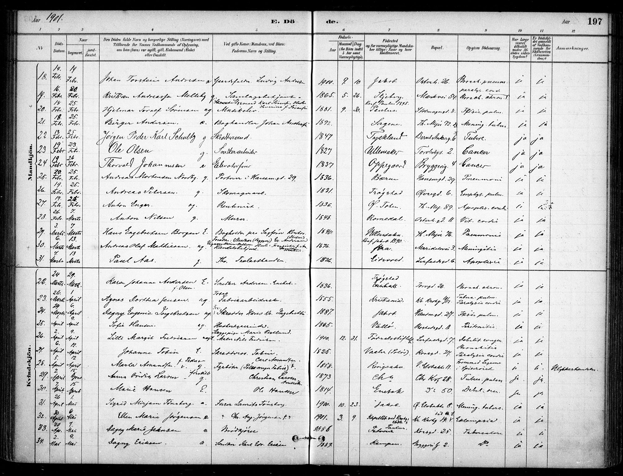 Jakob prestekontor Kirkebøker, AV/SAO-A-10850/F/Fa/L0007: Parish register (official) no. 7, 1880-1905, p. 197