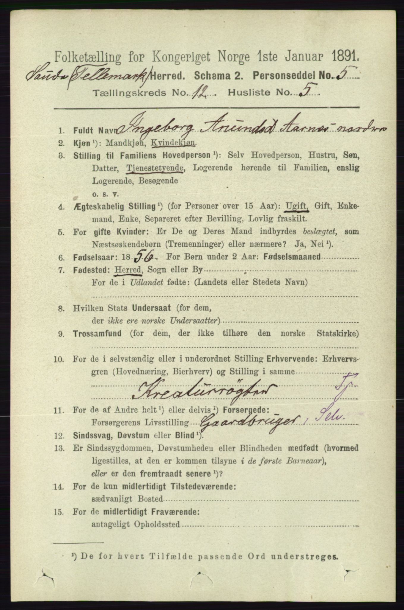 RA, 1891 census for 0822 Sauherad, 1891, p. 3651