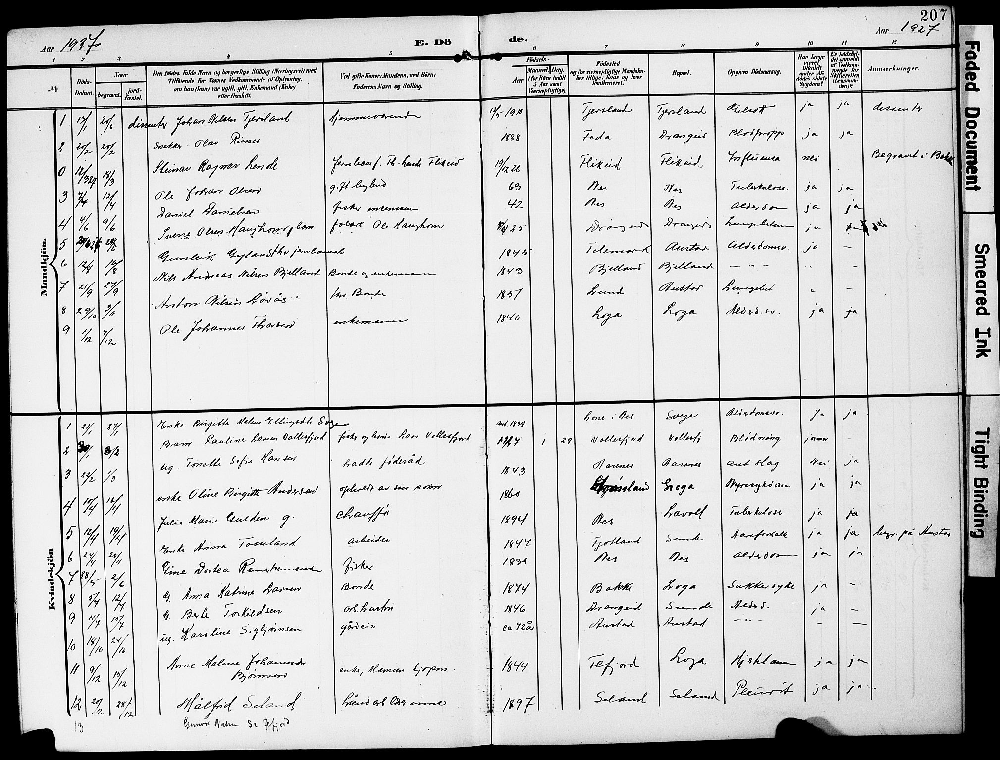 Flekkefjord sokneprestkontor, AV/SAK-1111-0012/F/Fb/Fbc/L0008: Parish register (copy) no. B 8, 1903-1931, p. 207