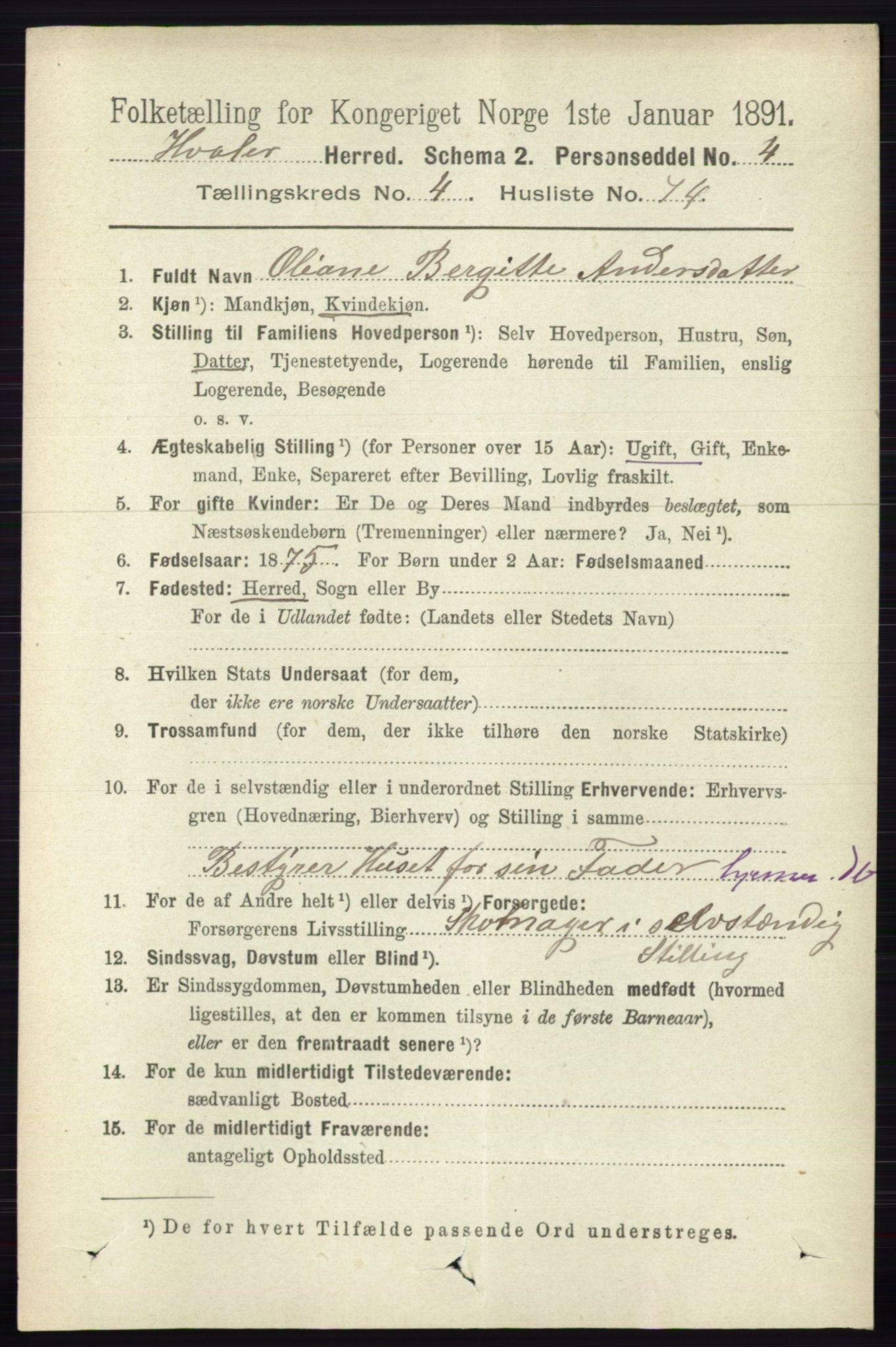 RA, 1891 census for 0111 Hvaler, 1891, p. 3036