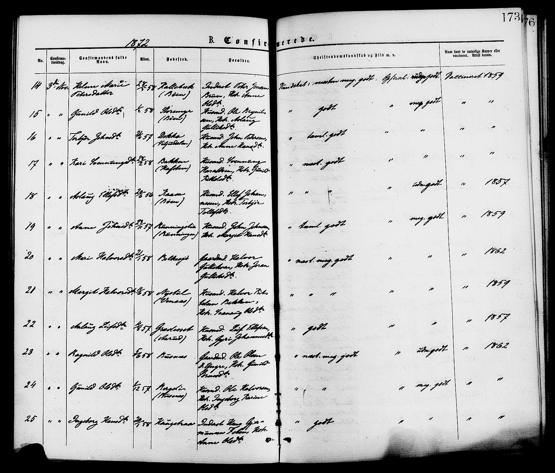 Gransherad kirkebøker, AV/SAKO-A-267/F/Fa/L0004: Parish register (official) no. I 4, 1871-1886, p. 173